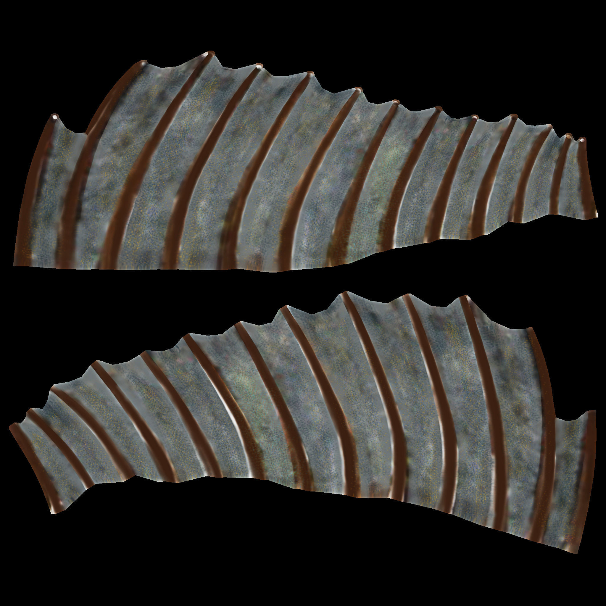 Bony Fish Low-poly 3D model_7