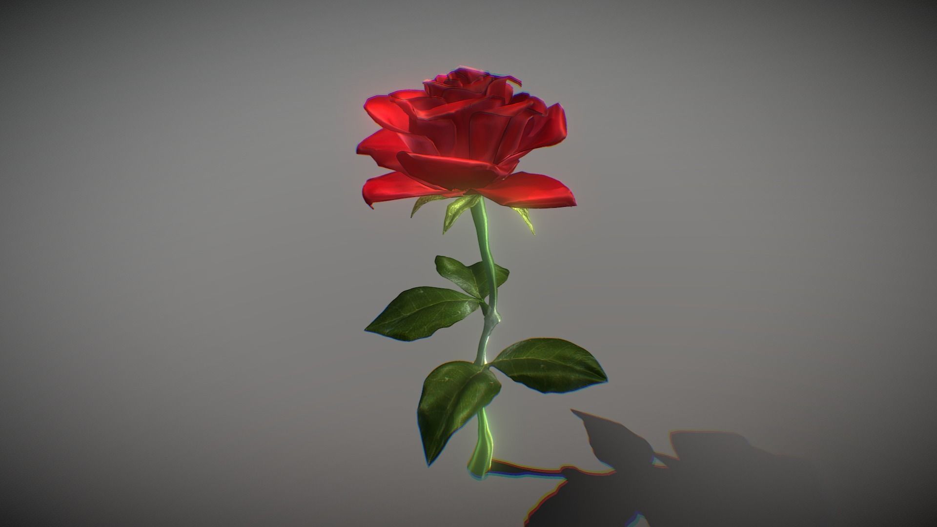 Rose 3D Model 3D model_2