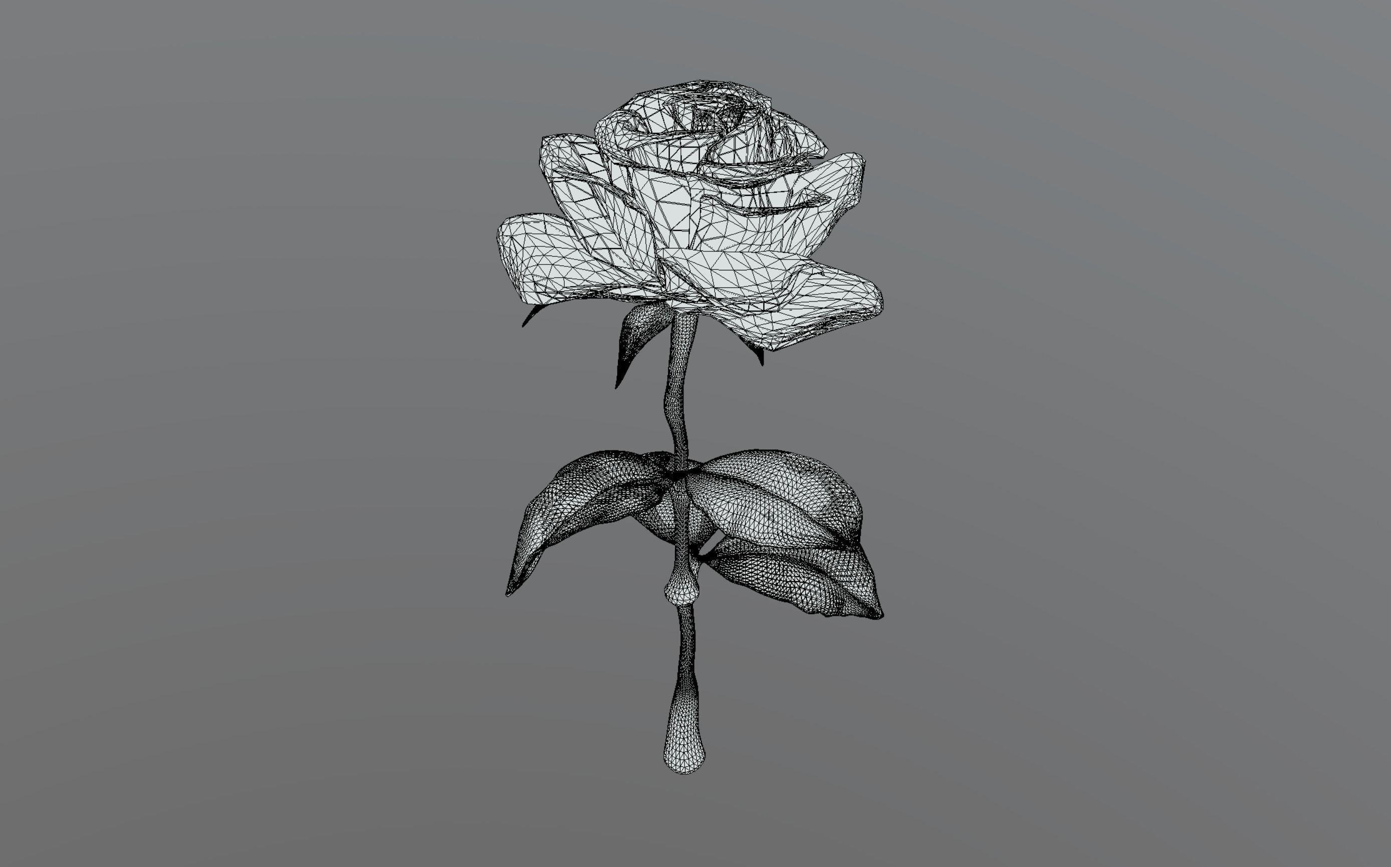 Rose 3D Model 3D model_6