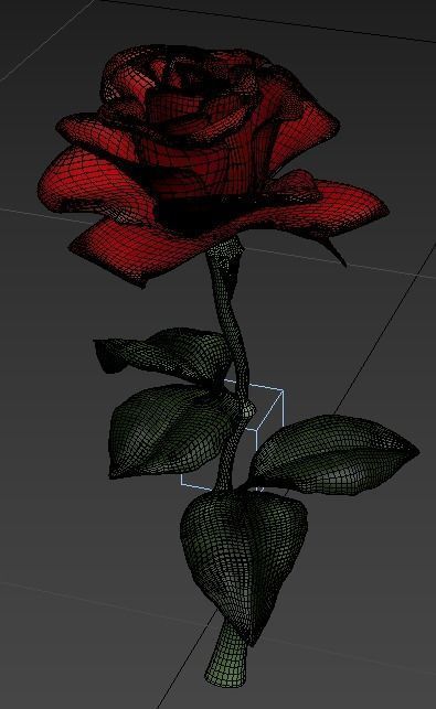 Rose 3D Model 3D model_9