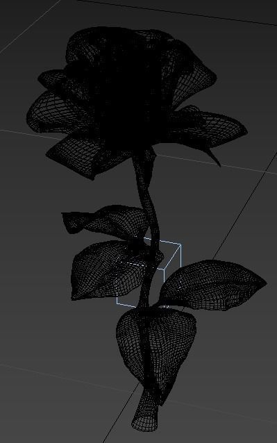 Rose 3D Model 3D model_10