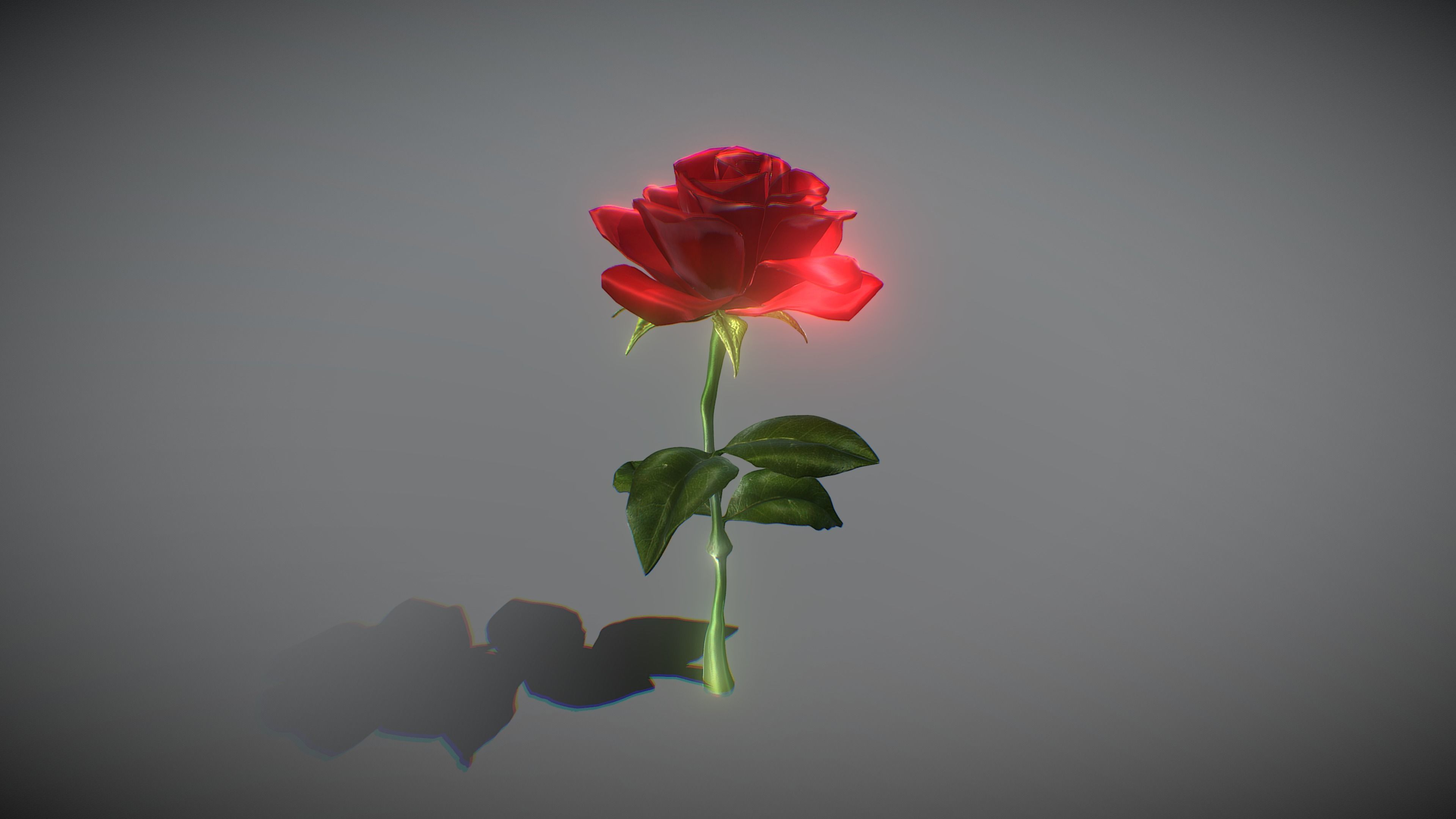 Rose 3D Model 3D model_5