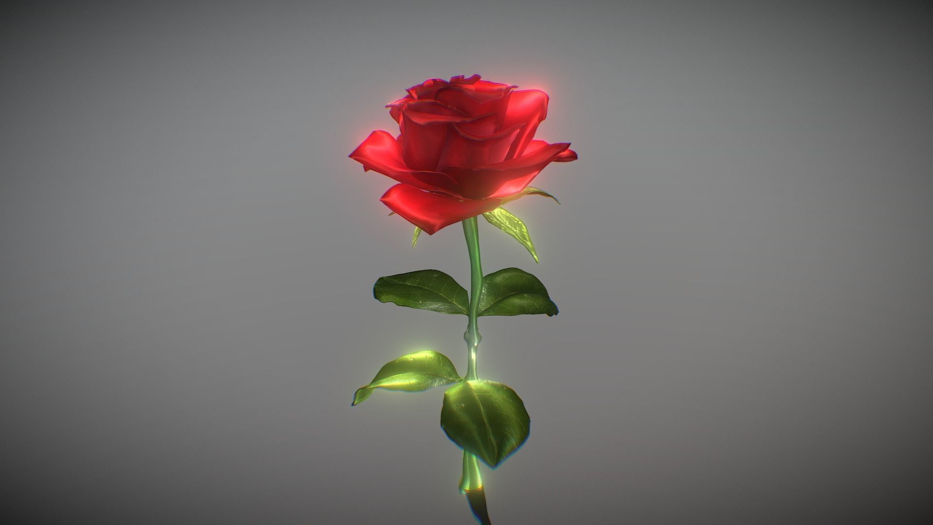 Rose 3D Model 3D model_4