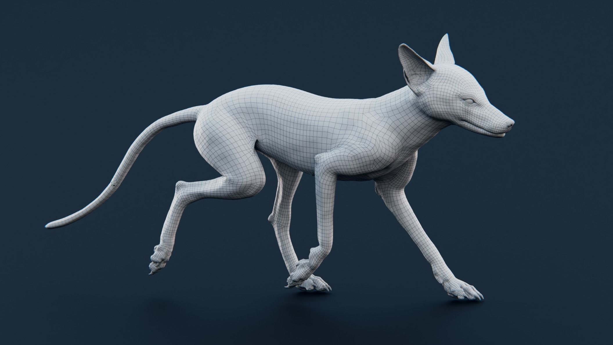 red fox 3D model_9