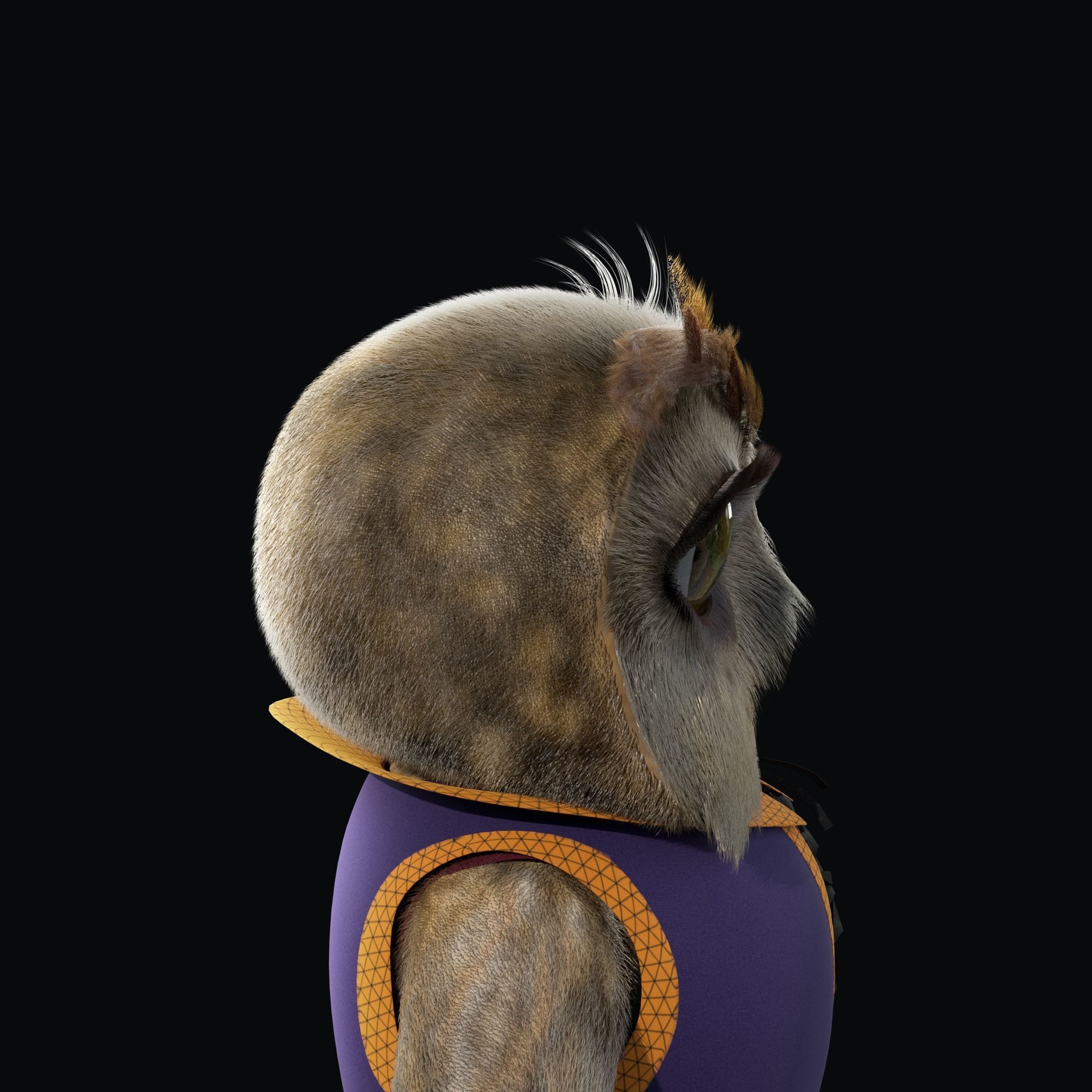 Cartoon Owl Rigged 3D model_16