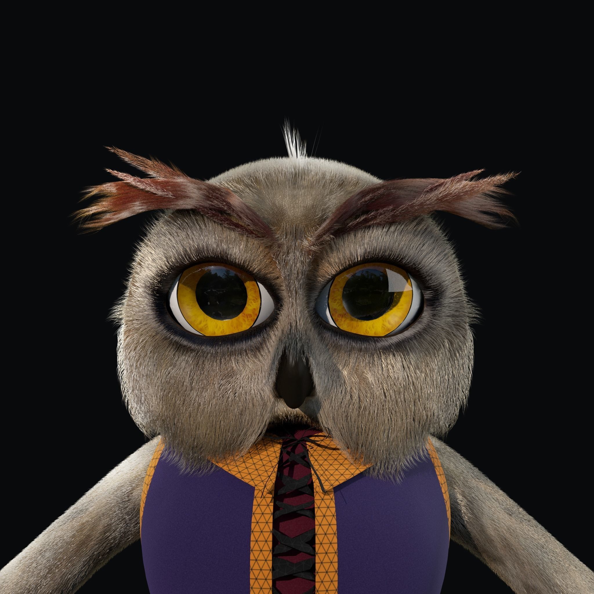 Cartoon Owl Rigged 3D model_14