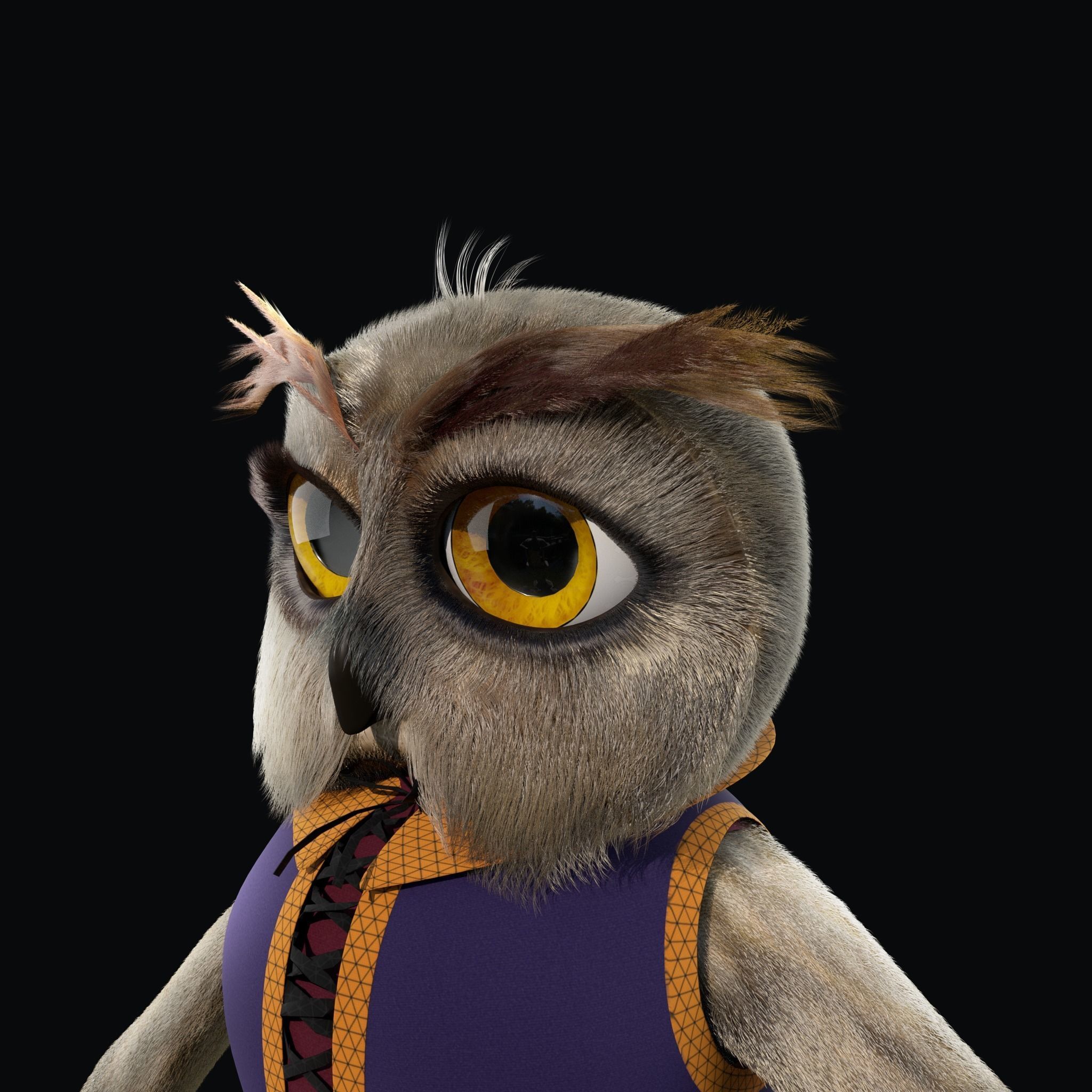 Cartoon Owl Rigged 3D model_20