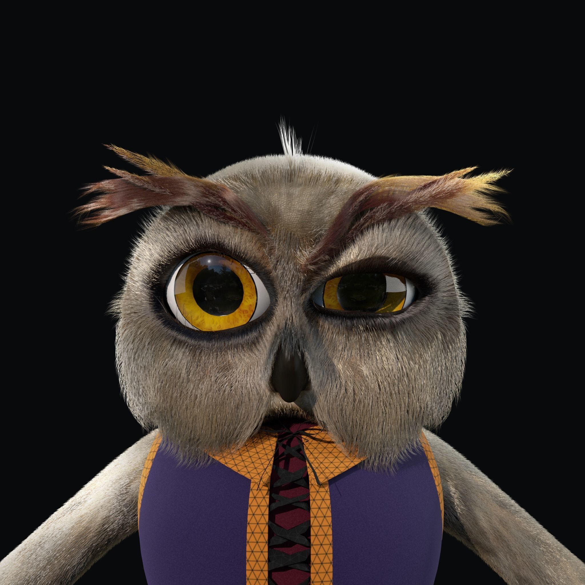 Cartoon Owl Rigged 3D model_3