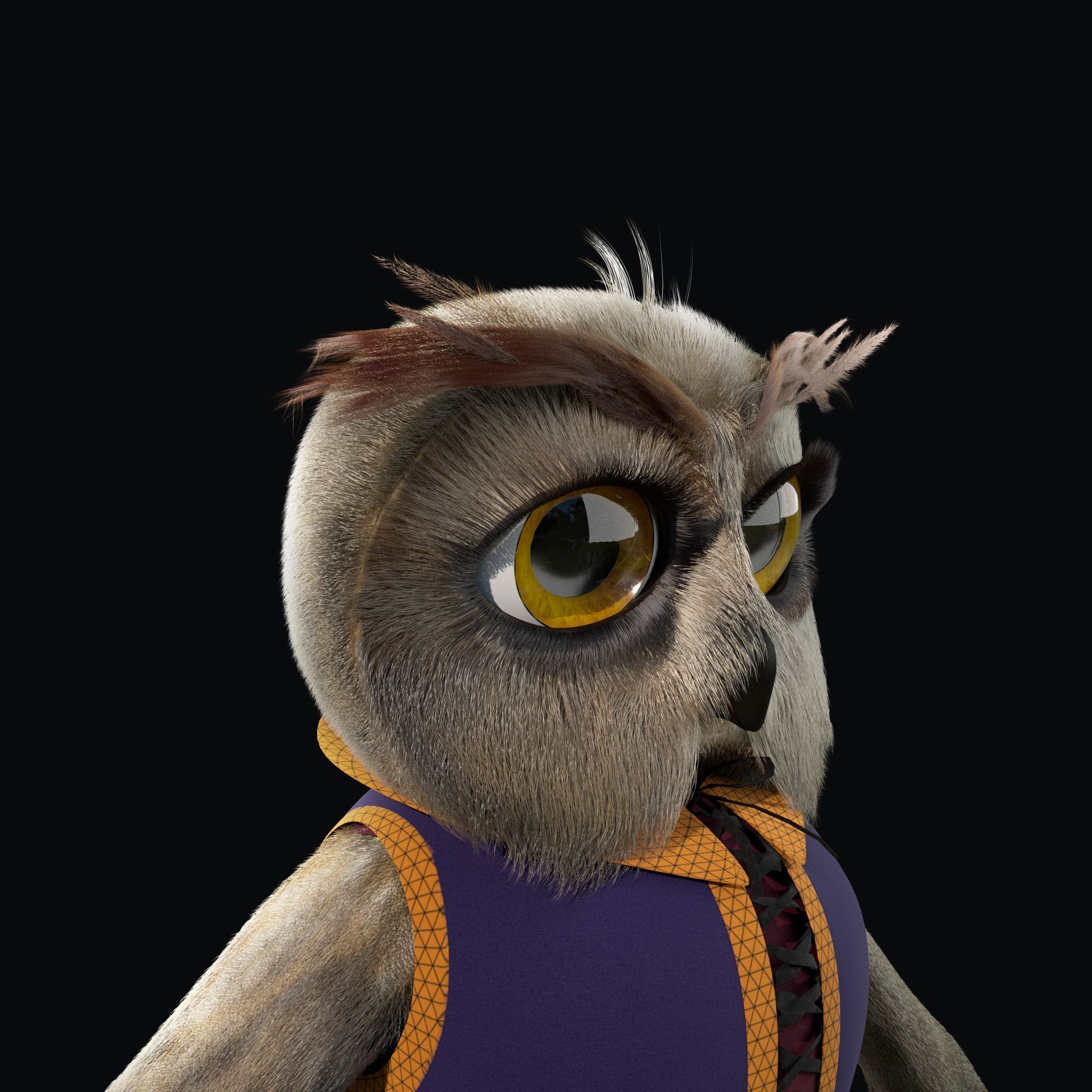 Cartoon Owl Rigged 3D model_15