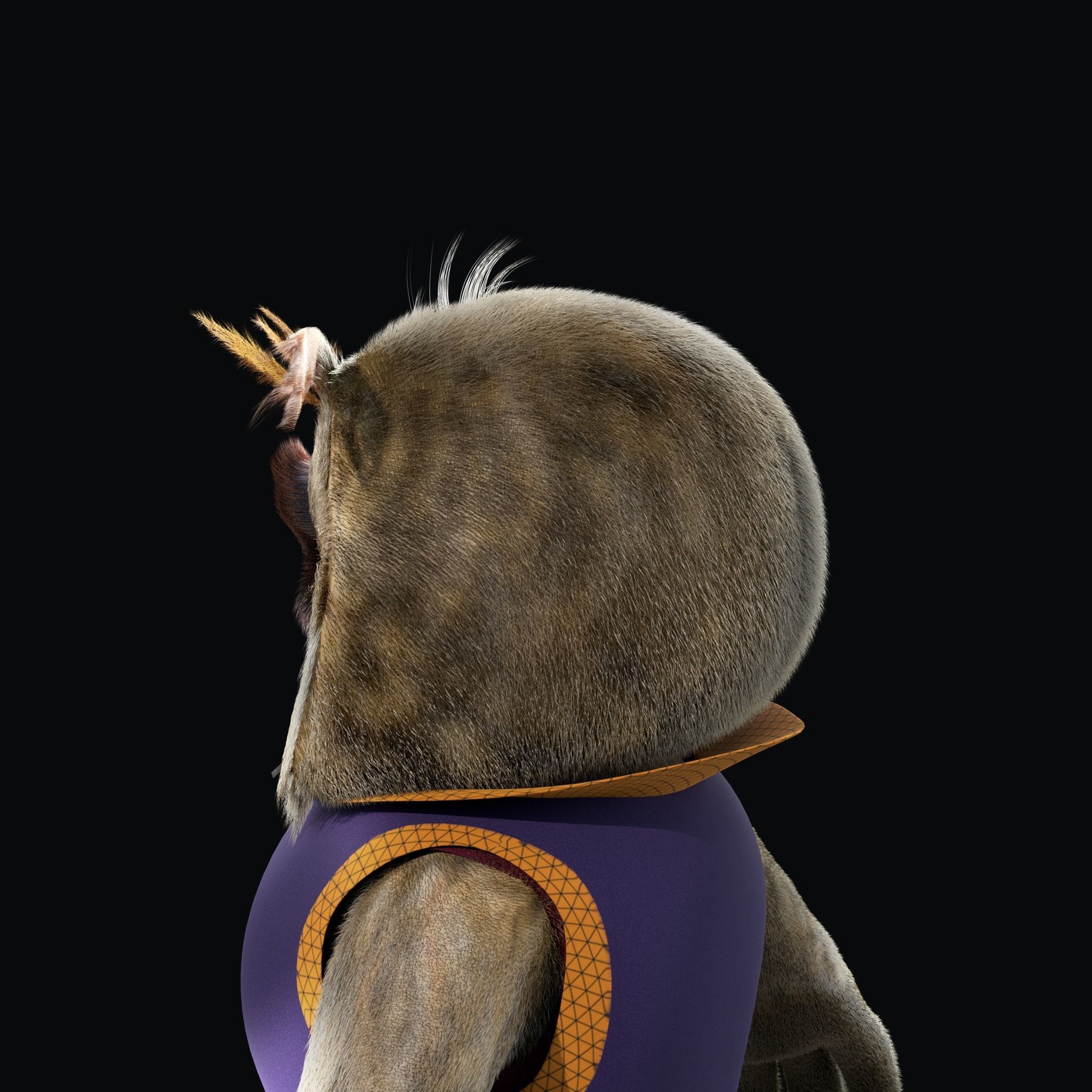 Cartoon Owl Rigged 3D model_19