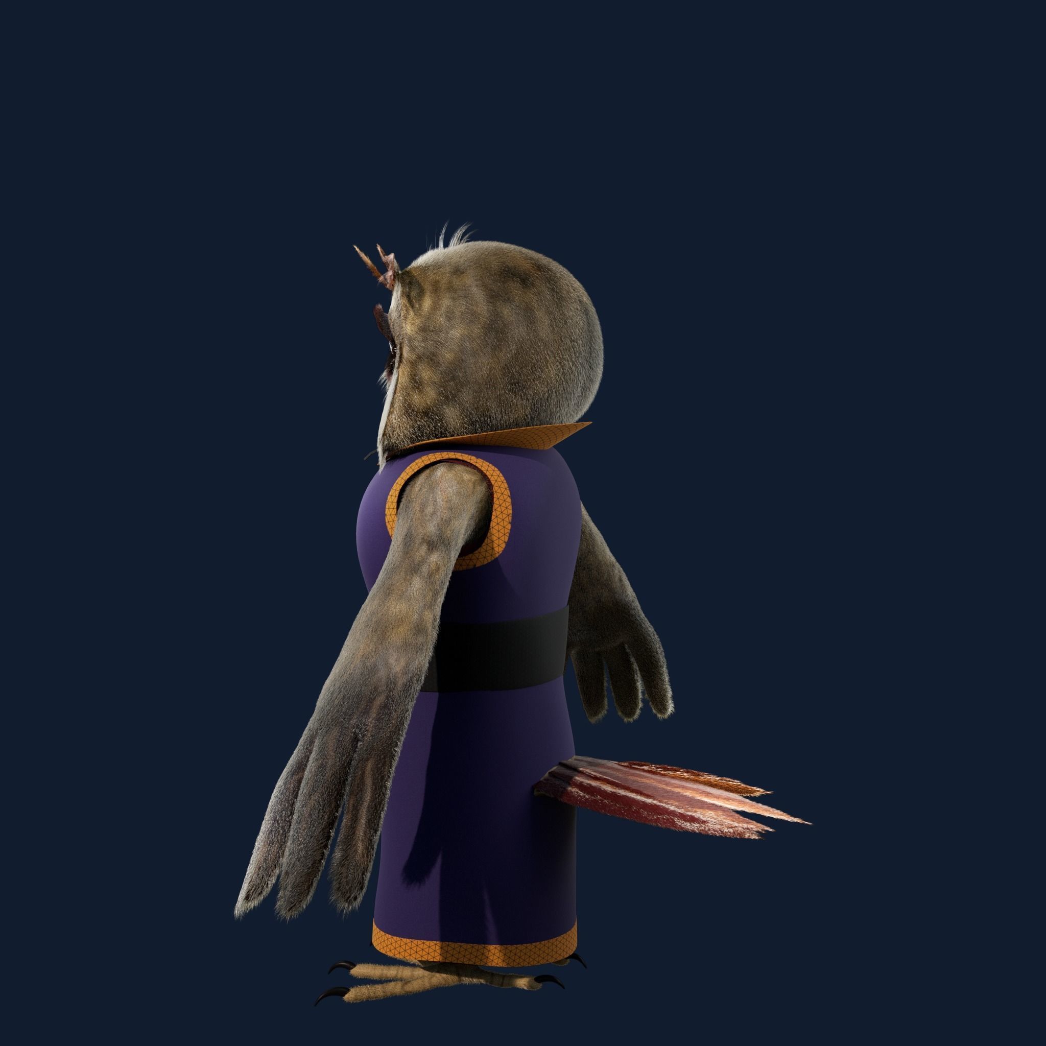 Cartoon Owl Rigged 3D model_12