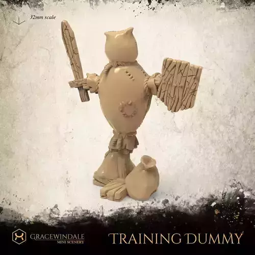 Training Dummy 3D print model