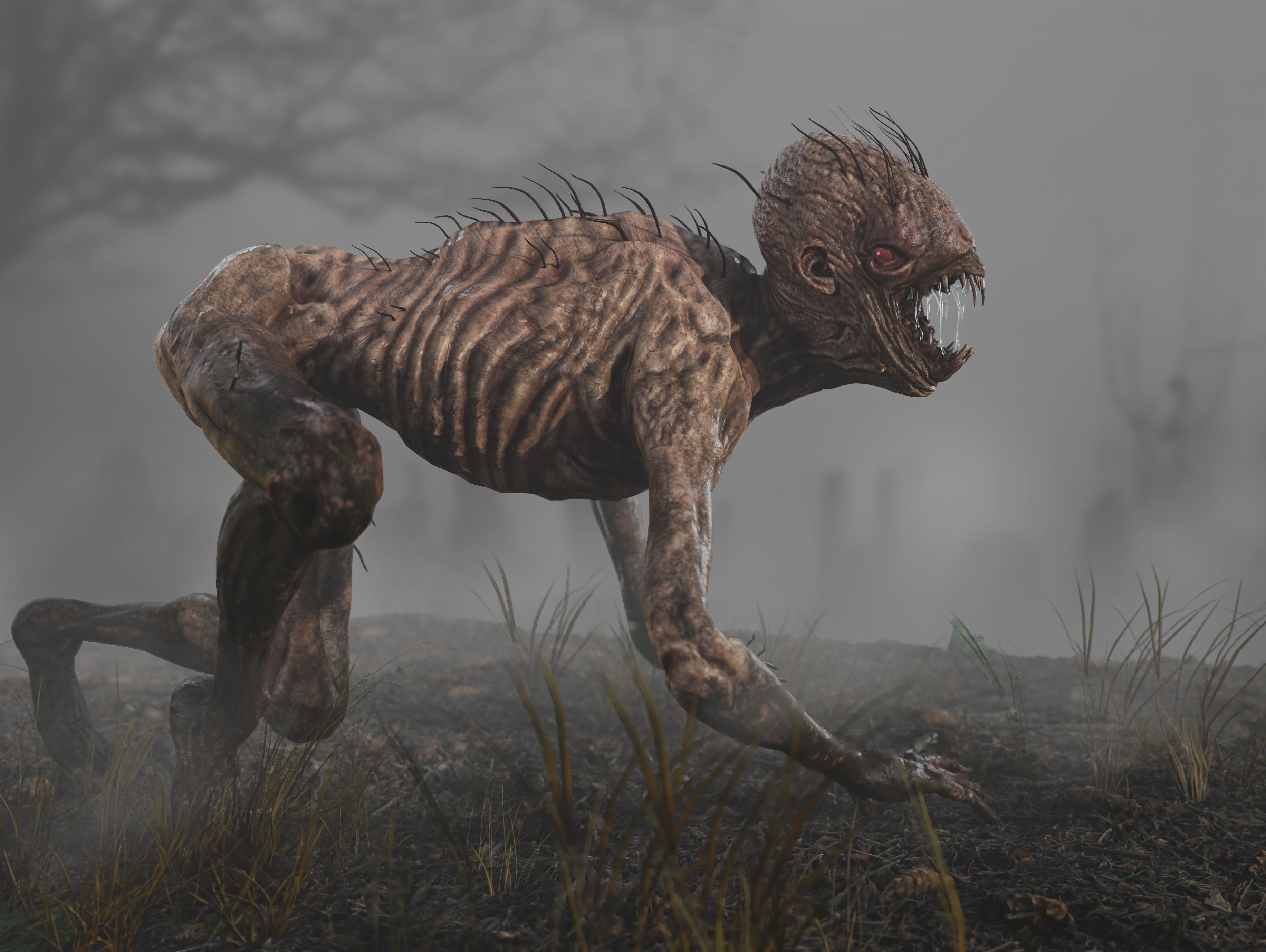 Chupacabra Low-poly 3D model_8