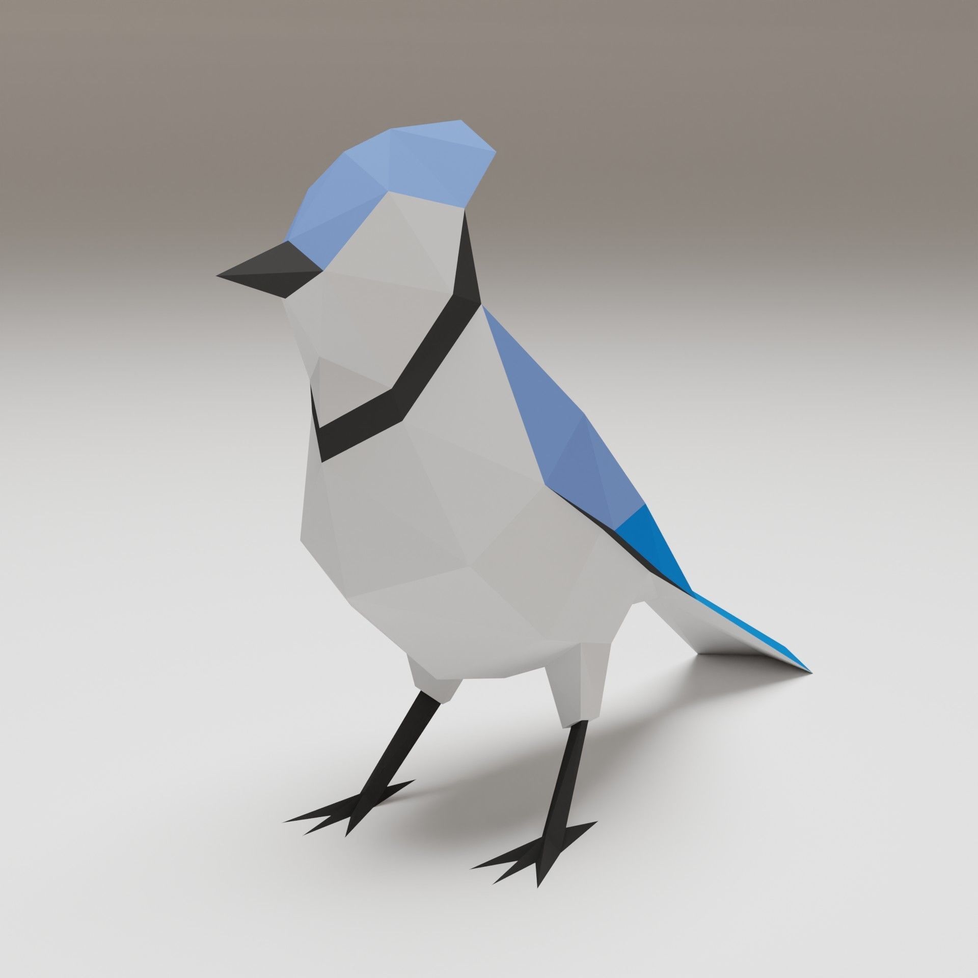 Bird - Blue Jay 3D print model_2