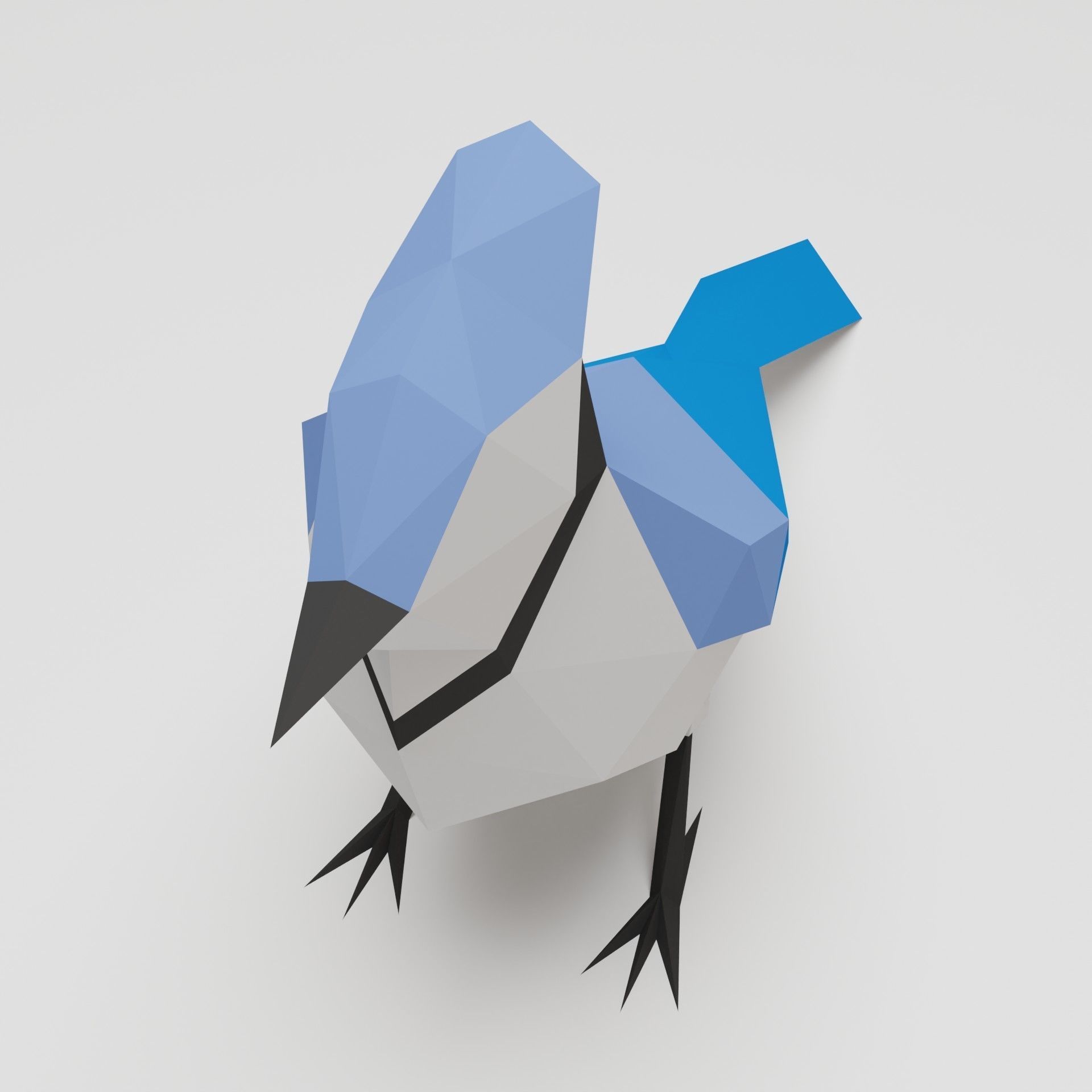 Bird - Blue Jay 3D print model_4