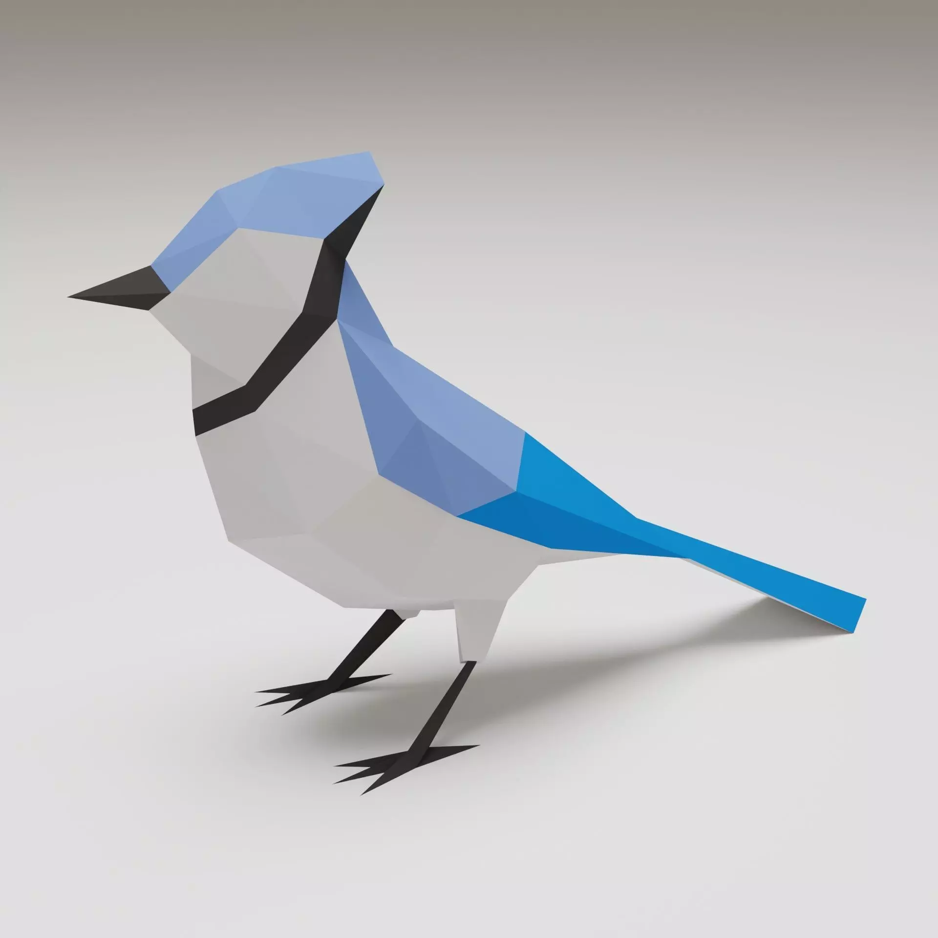 Bird - Blue Jay 3D print model_0