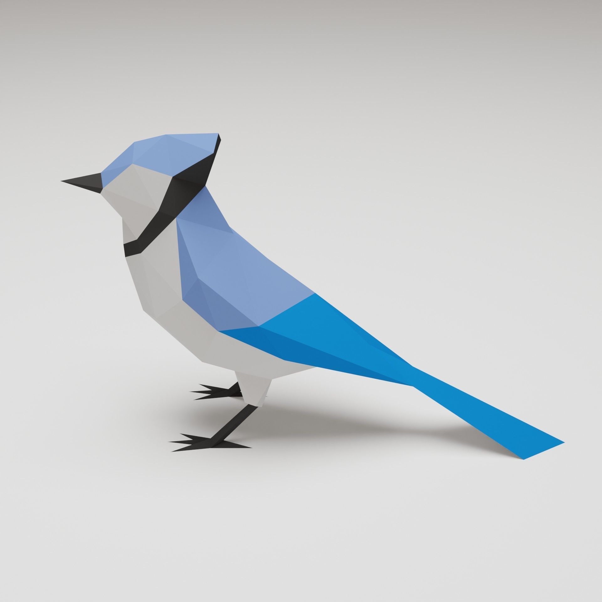 Bird - Blue Jay 3D print model_3