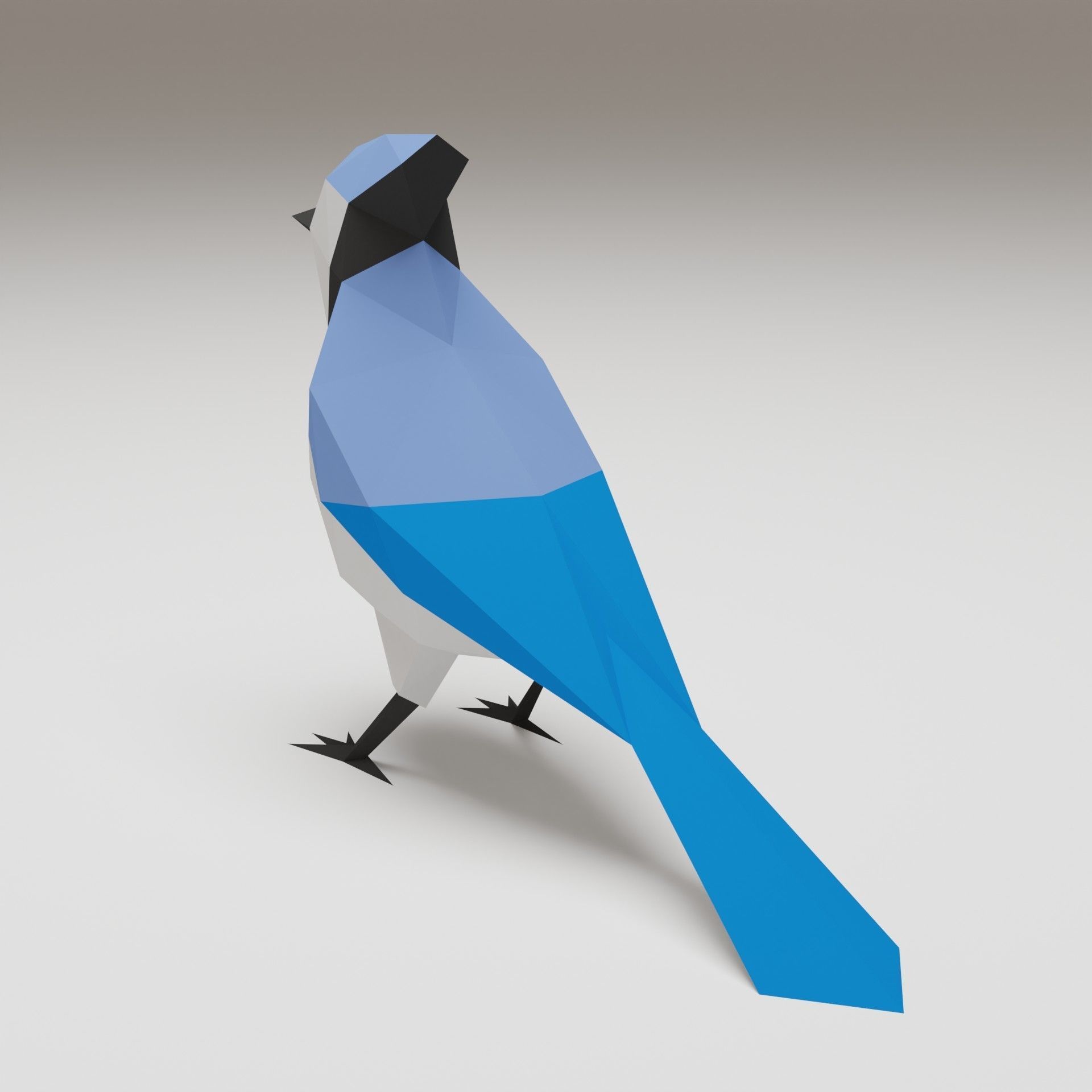 Bird - Blue Jay 3D print model_1