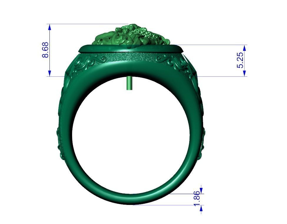 Ring undead Pirate snakes wind rose anchor 3D print model_9