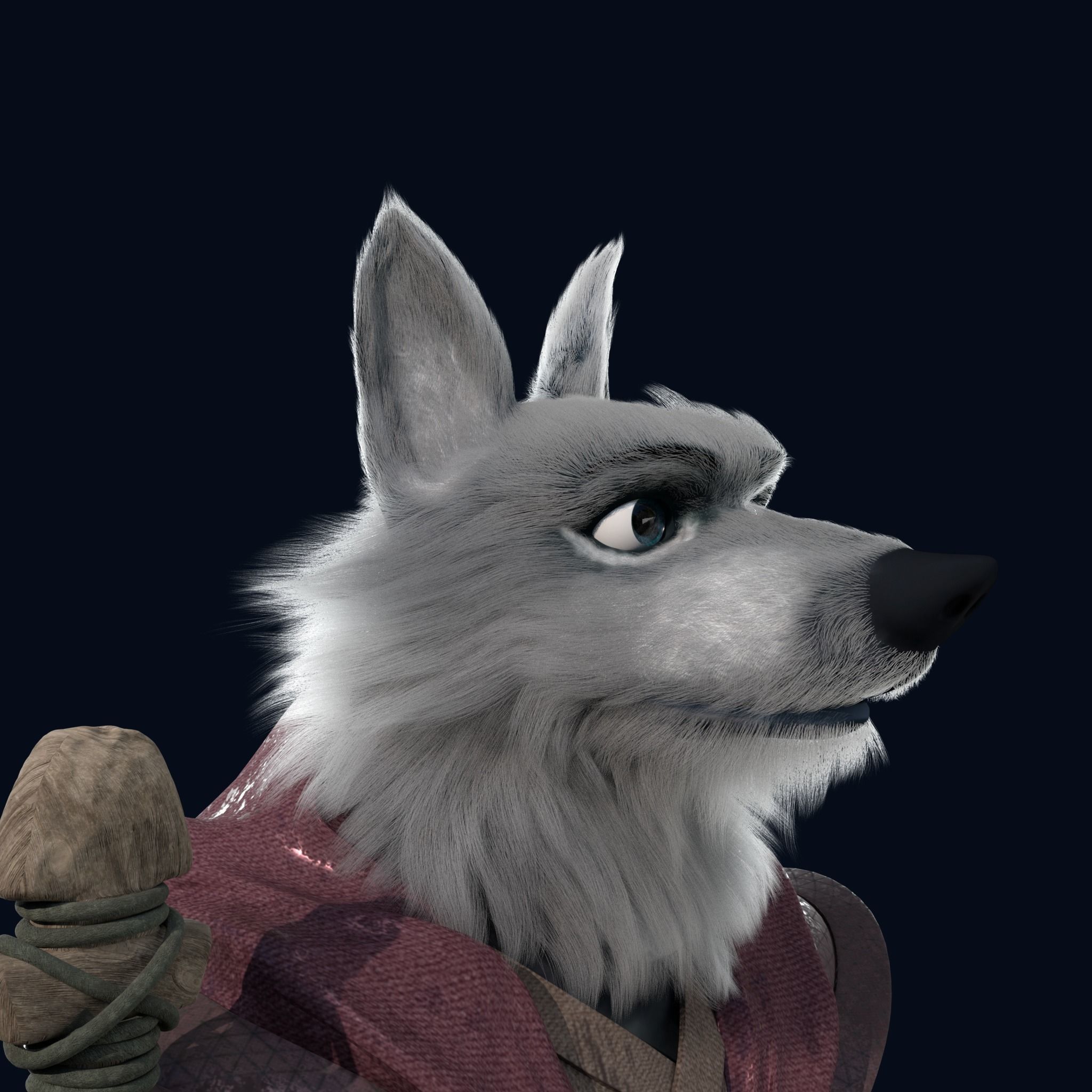 Cartoon Old Wolf Rigged 3D model_17