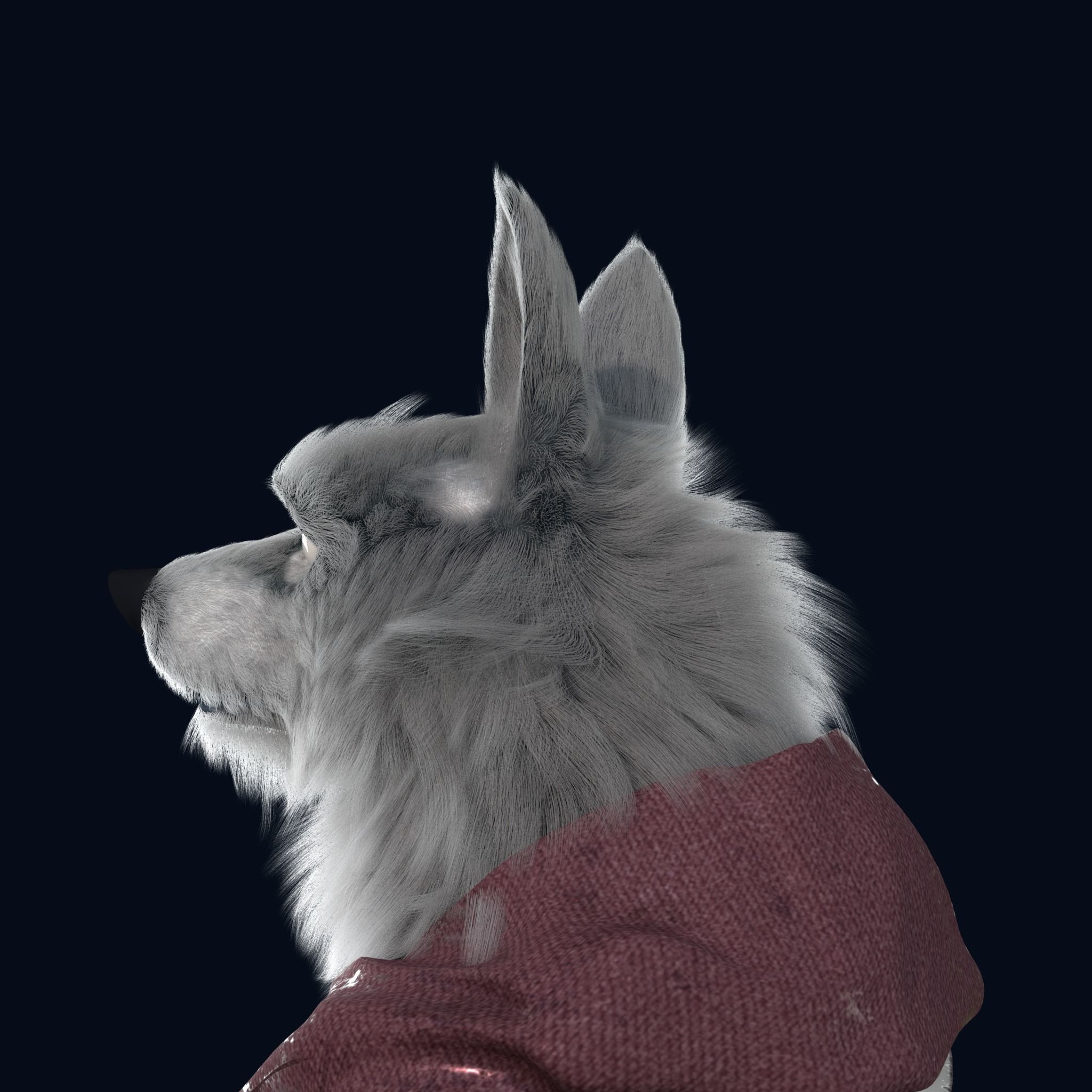 Cartoon Old Wolf Rigged 3D model_22