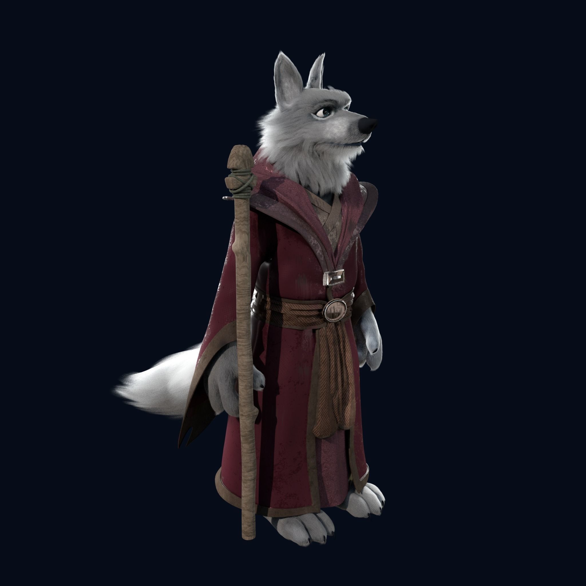 Cartoon Old Wolf Rigged 3D model_8