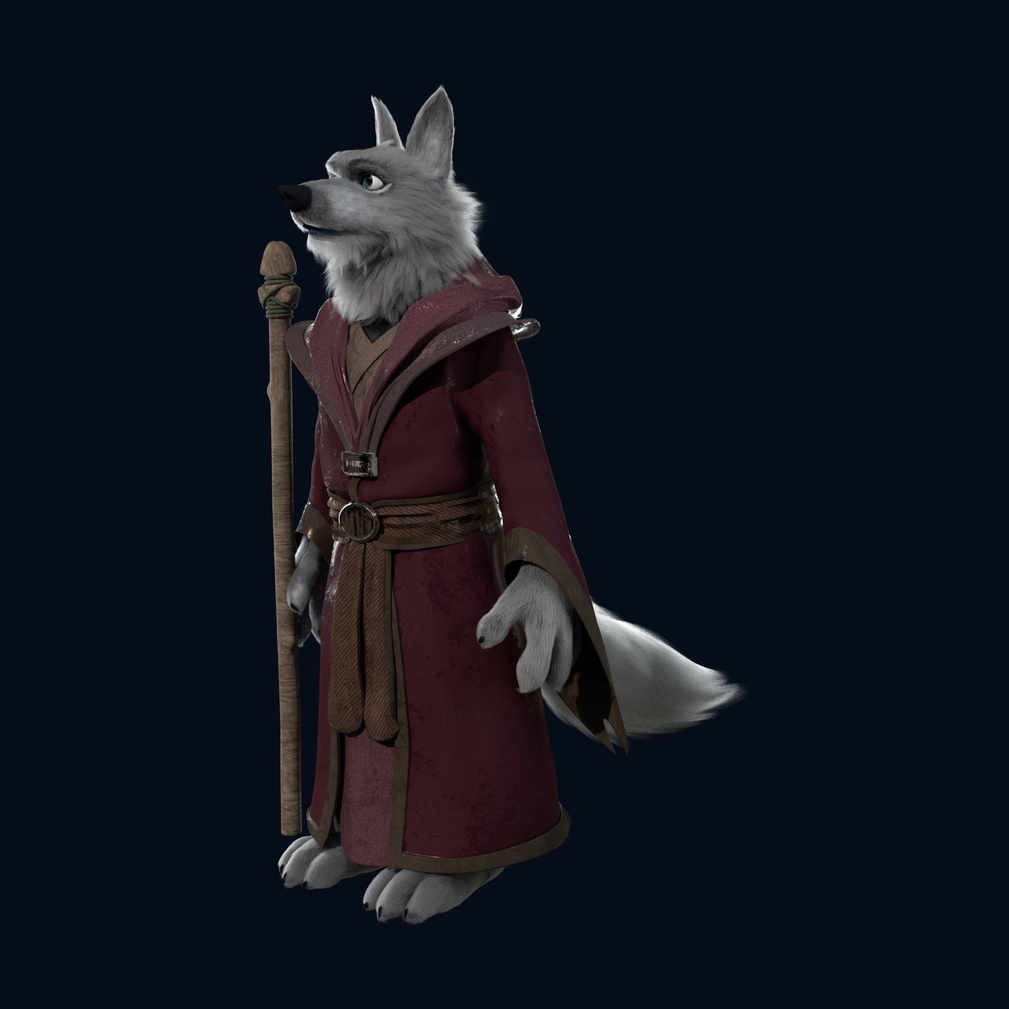Cartoon Old Wolf Rigged 3D model_14