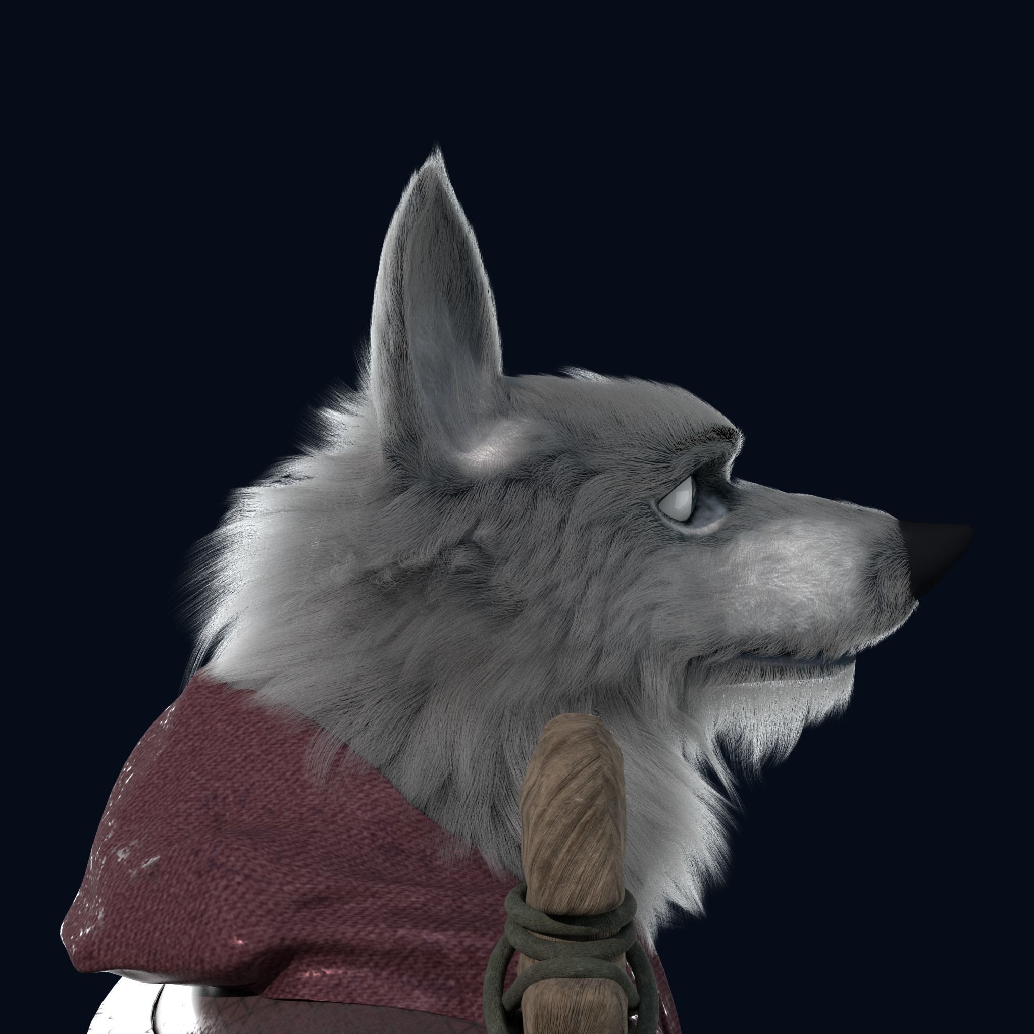 Cartoon Old Wolf Rigged 3D model_18