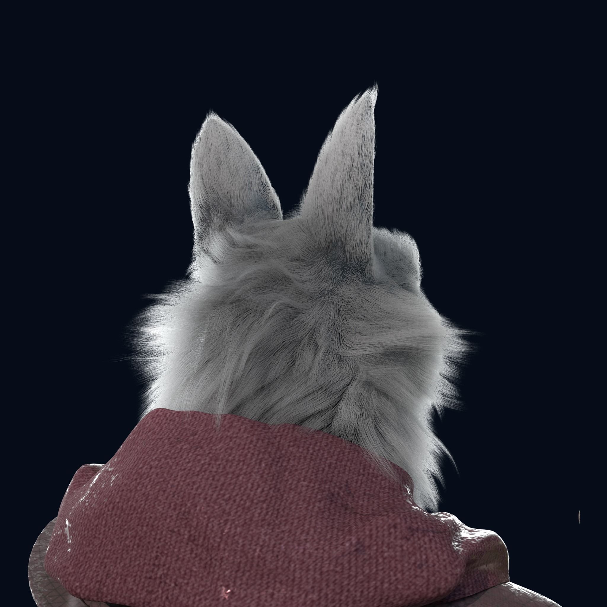 Cartoon Old Wolf Rigged 3D model_19