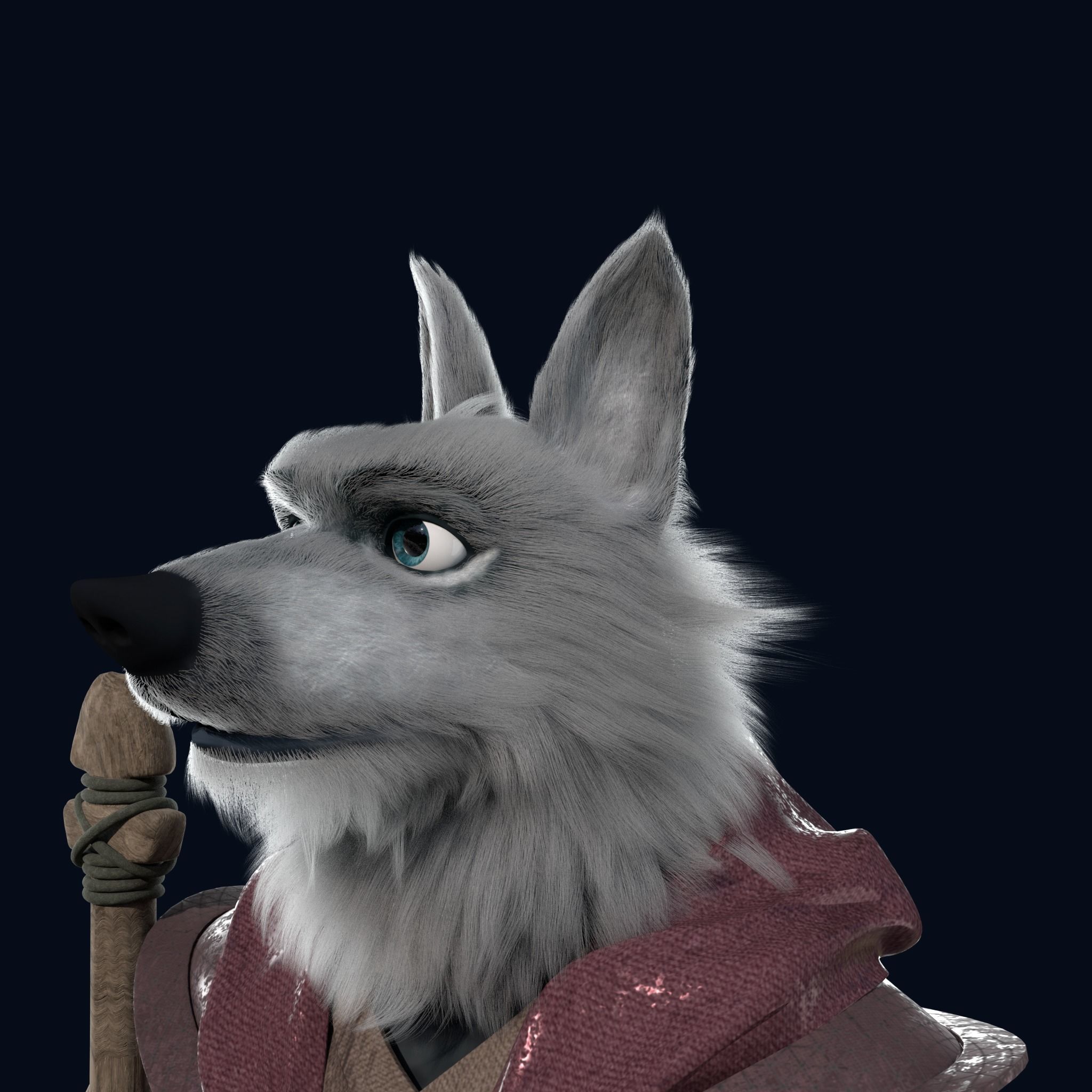 Cartoon Old Wolf Rigged 3D model_23