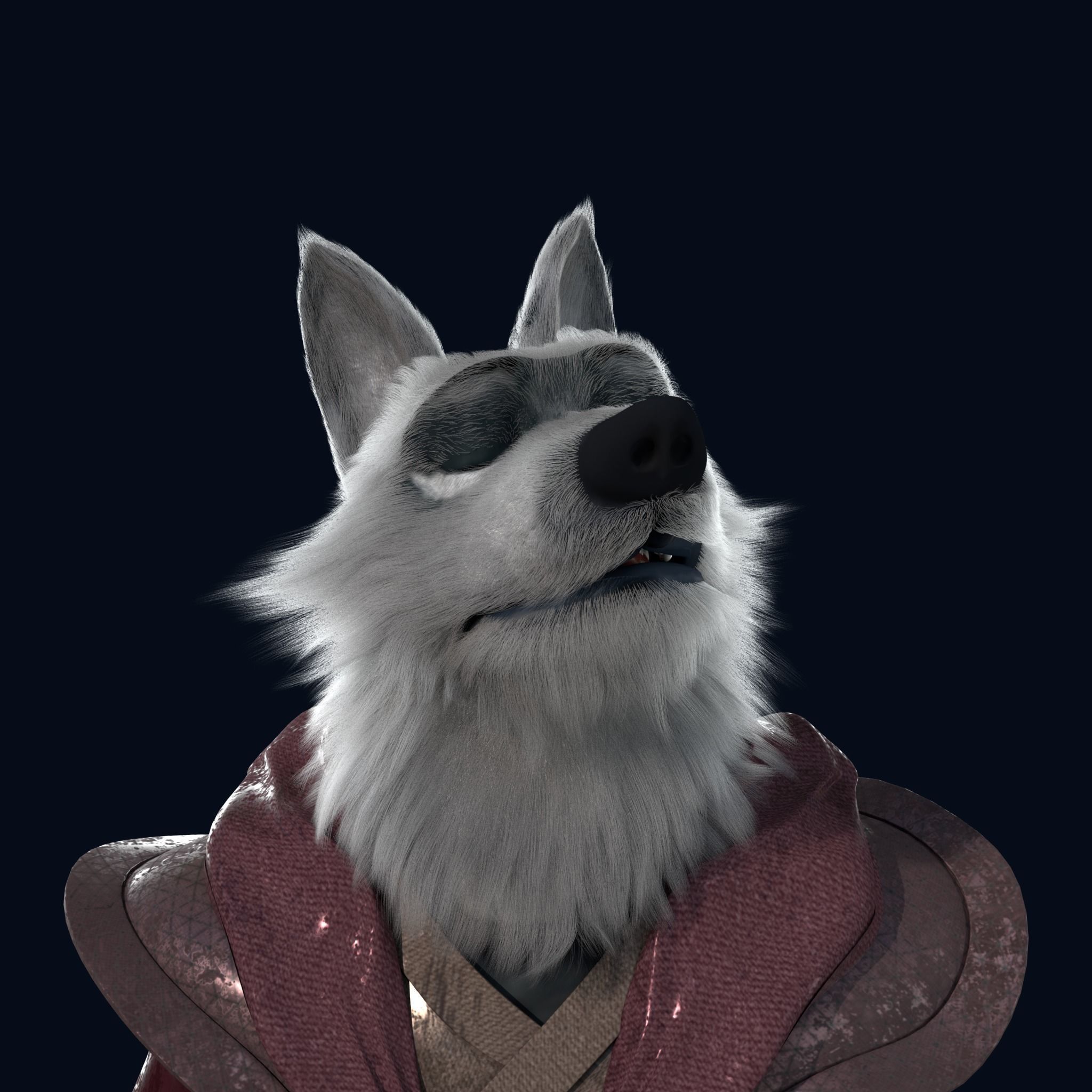 Cartoon Old Wolf Rigged 3D model_6
