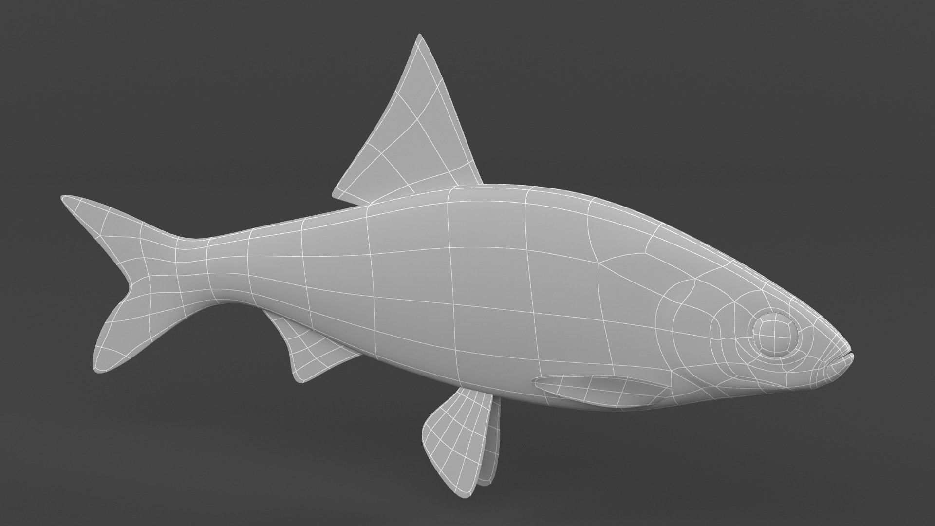 Freshwater Fish 3D model_6
