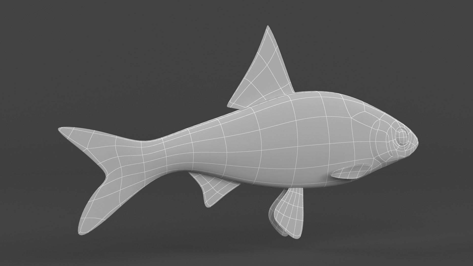 Freshwater Fish 3D model_8