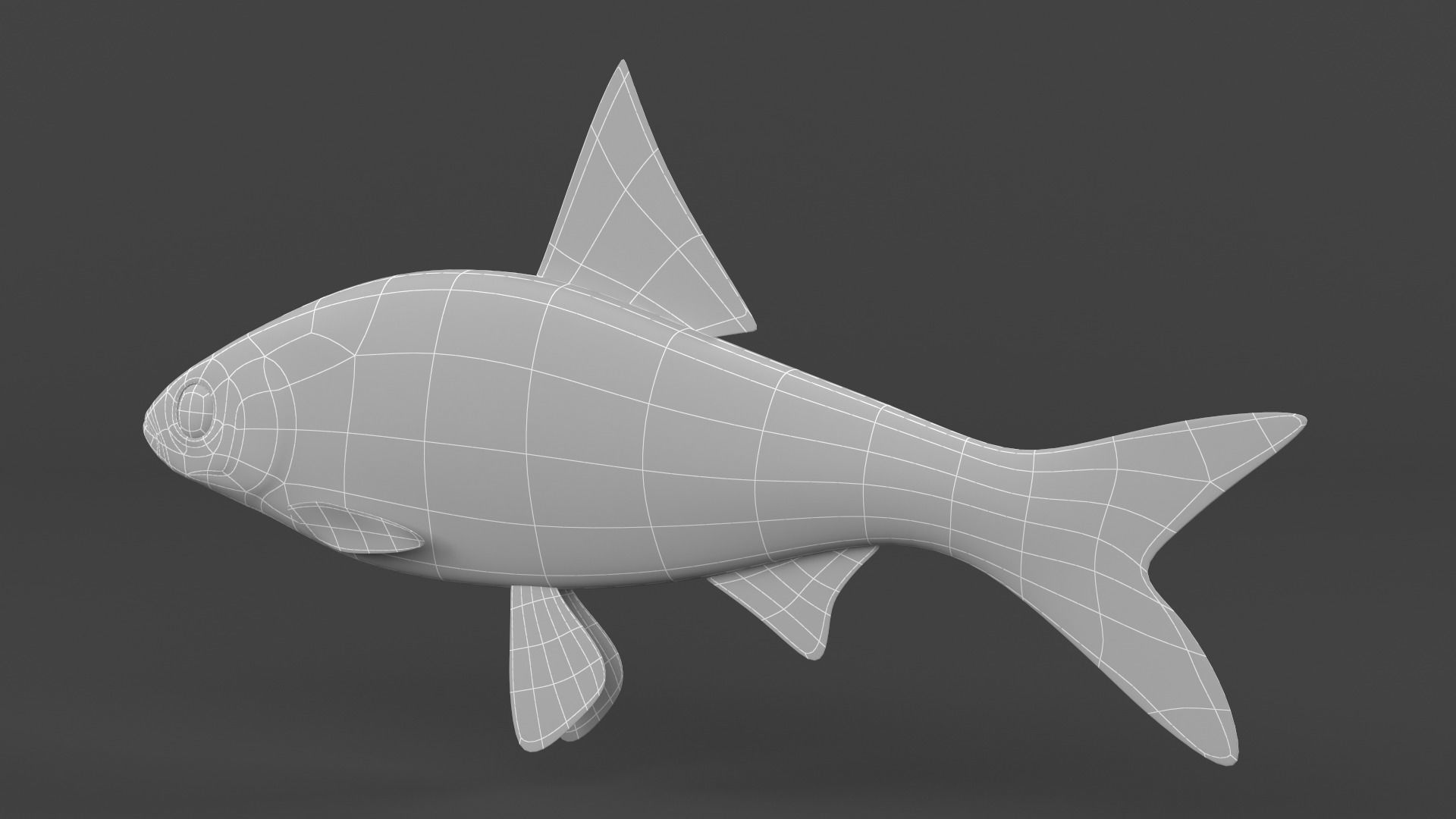 Freshwater Fish 3D model_7