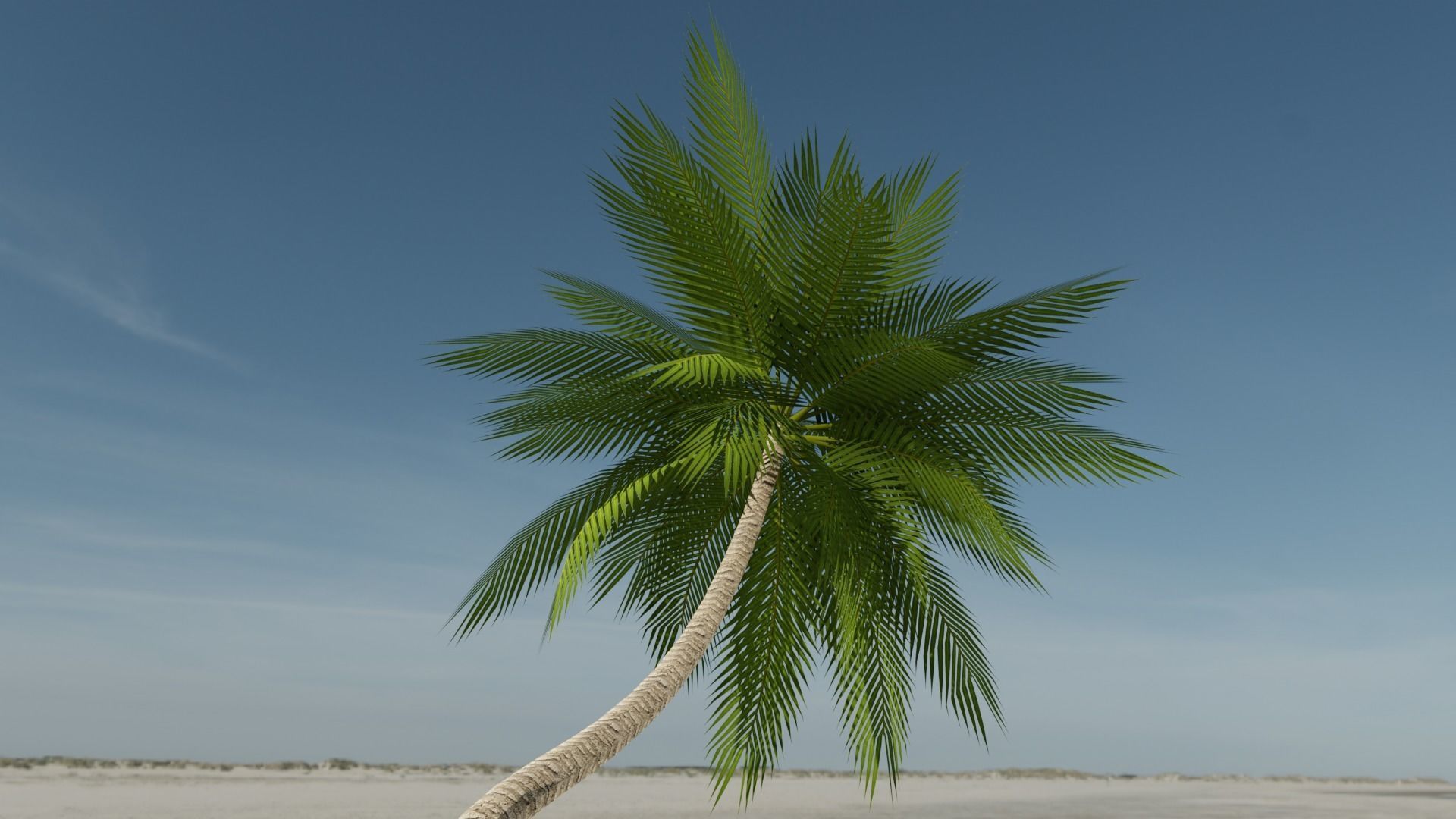 Lowpoly Date Palm v3 Low-poly 3D model_12