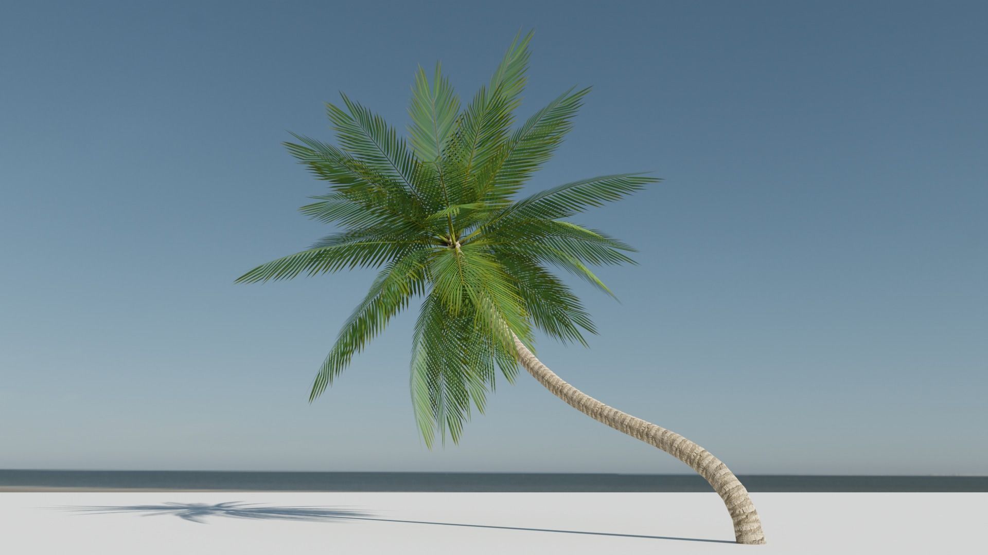 Lowpoly Date Palm v3 Low-poly 3D model_10