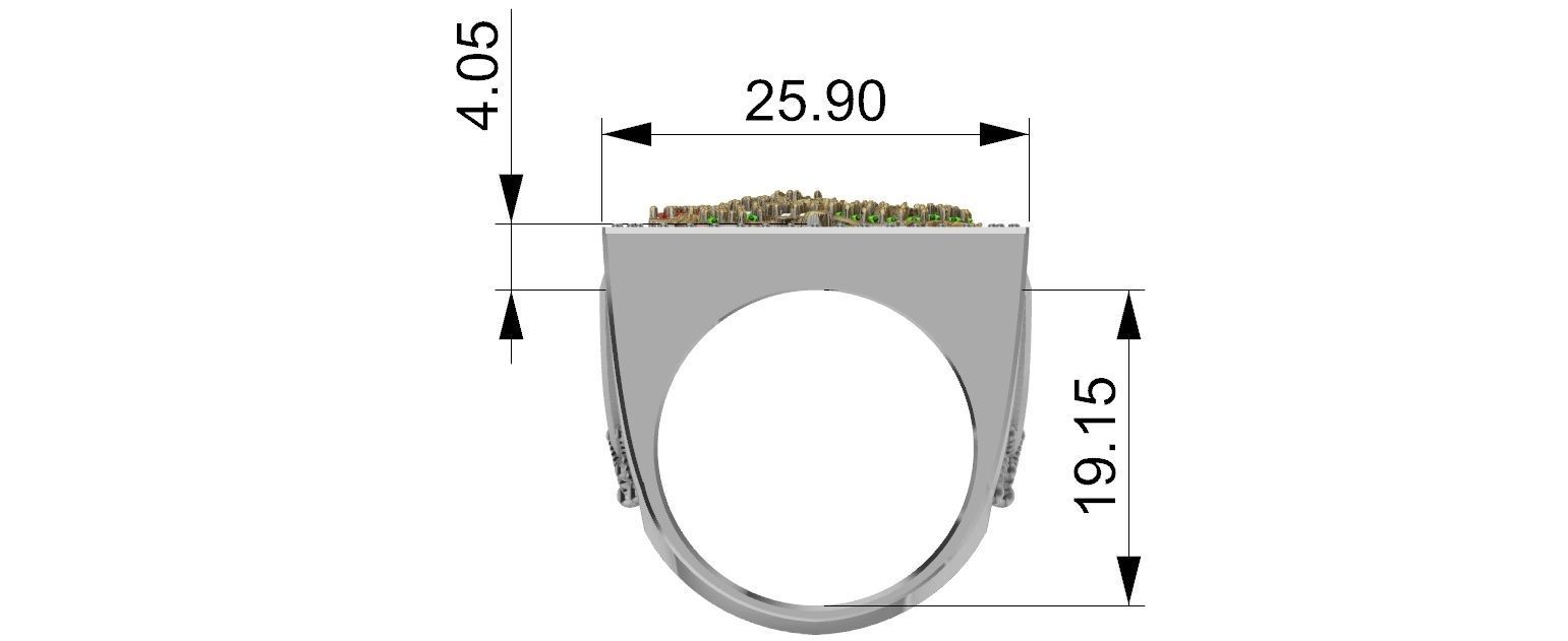 Saint George Ring with Brilhants - Sao Jorge 3D print model_8