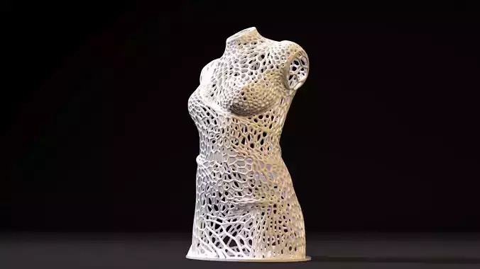 Woman Torso  3D print model