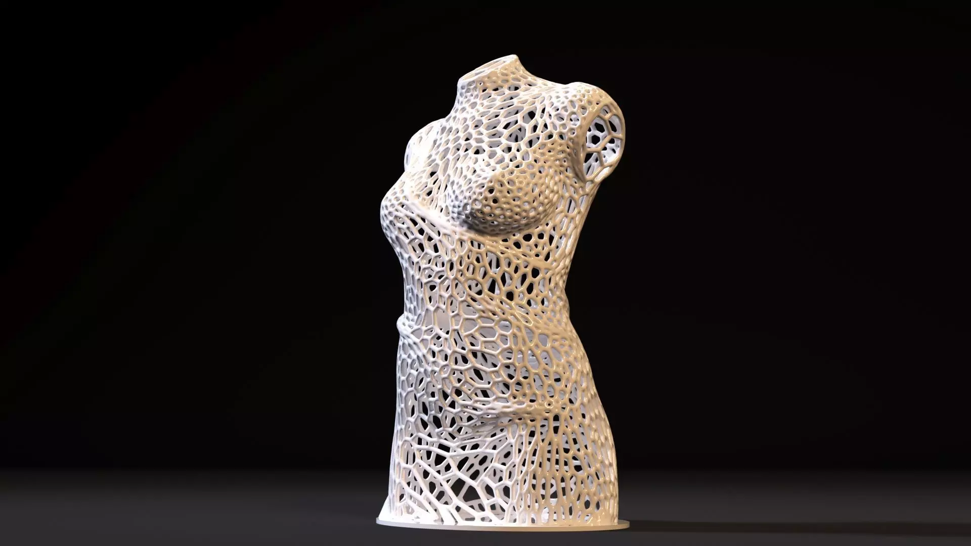 Woman Torso  3D print model_0