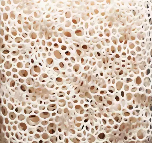 Bone Tissue Structure 3D model
