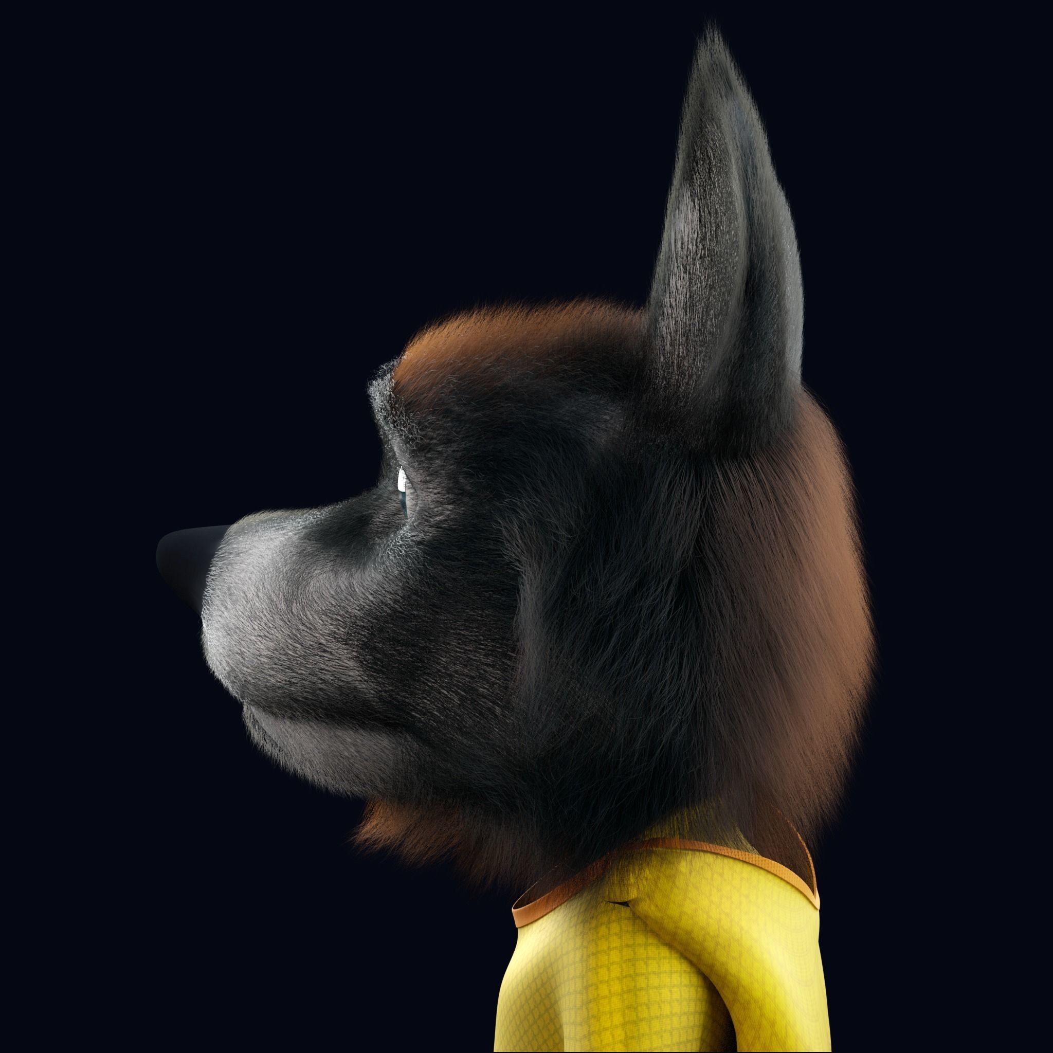 Cartoon Young Wolf Rigged 3D model_19