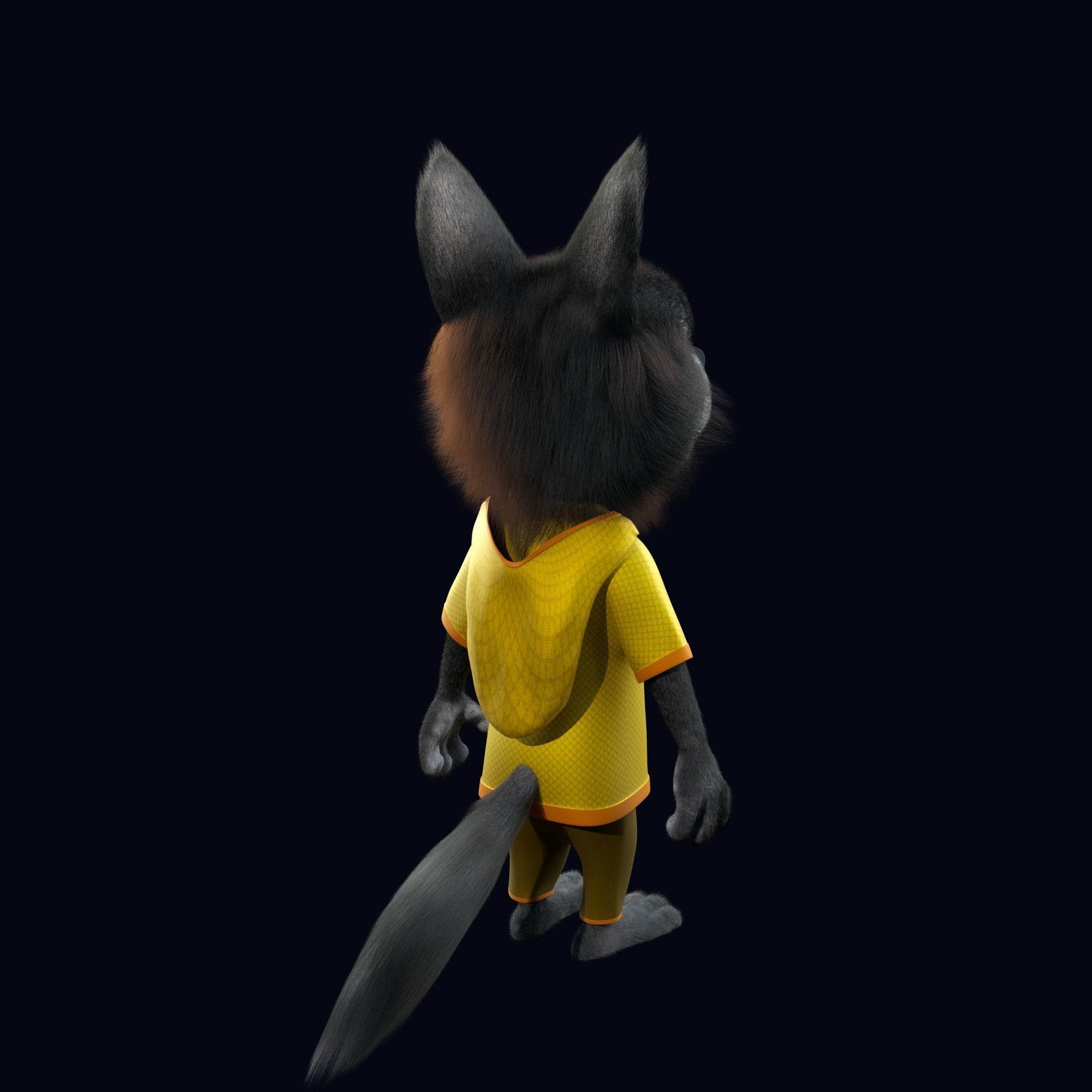 Cartoon Young Wolf Rigged 3D model_9