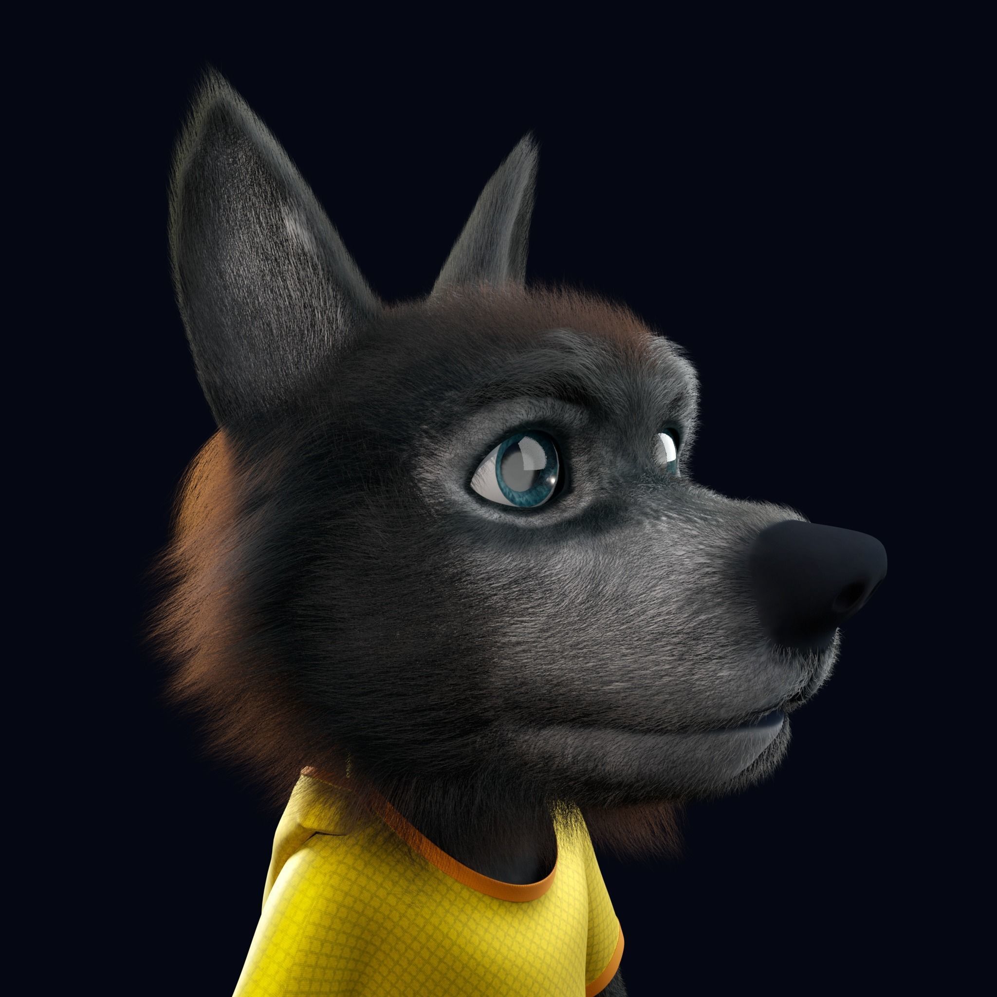 Cartoon Young Wolf Rigged 3D model_4