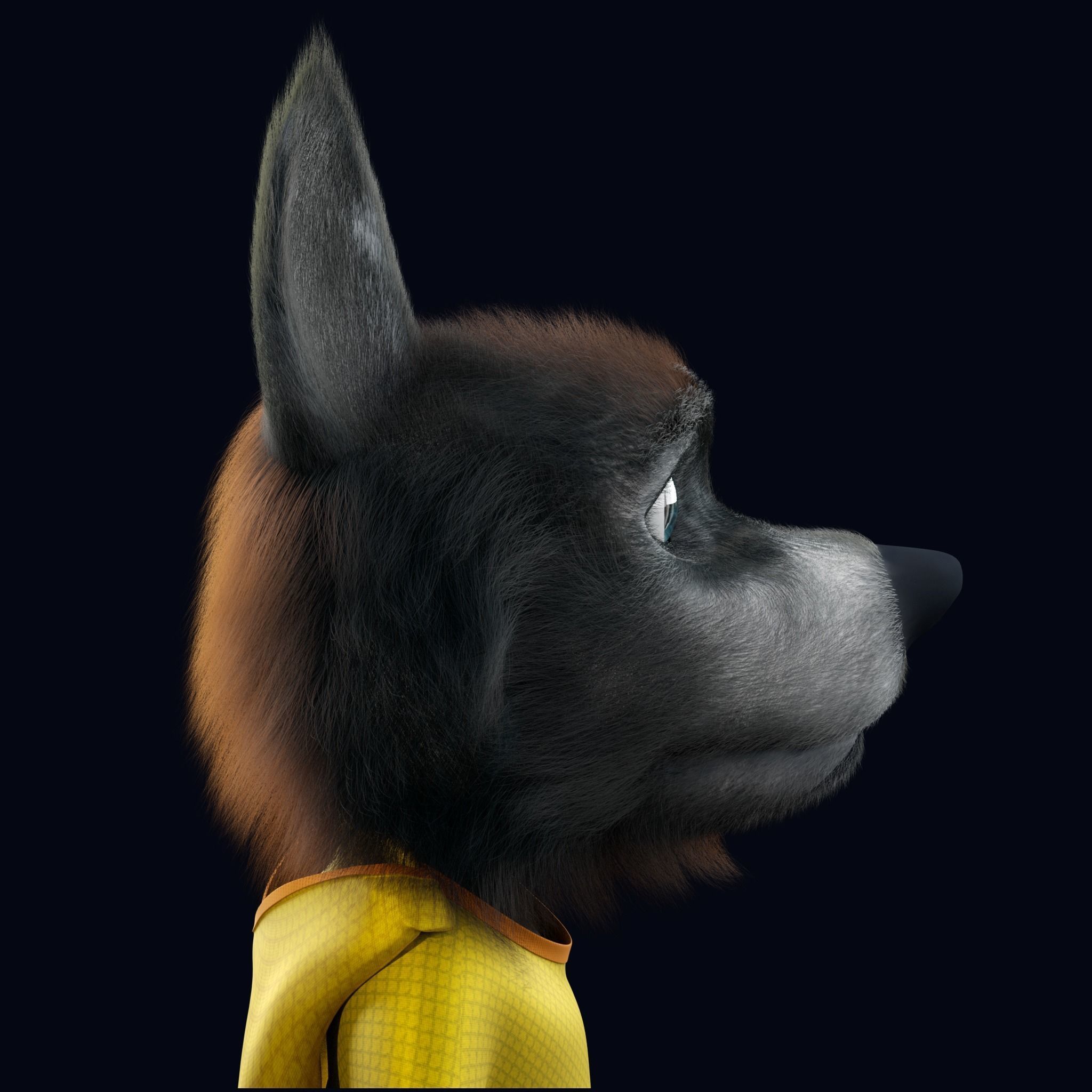 Cartoon Young Wolf Rigged 3D model_15