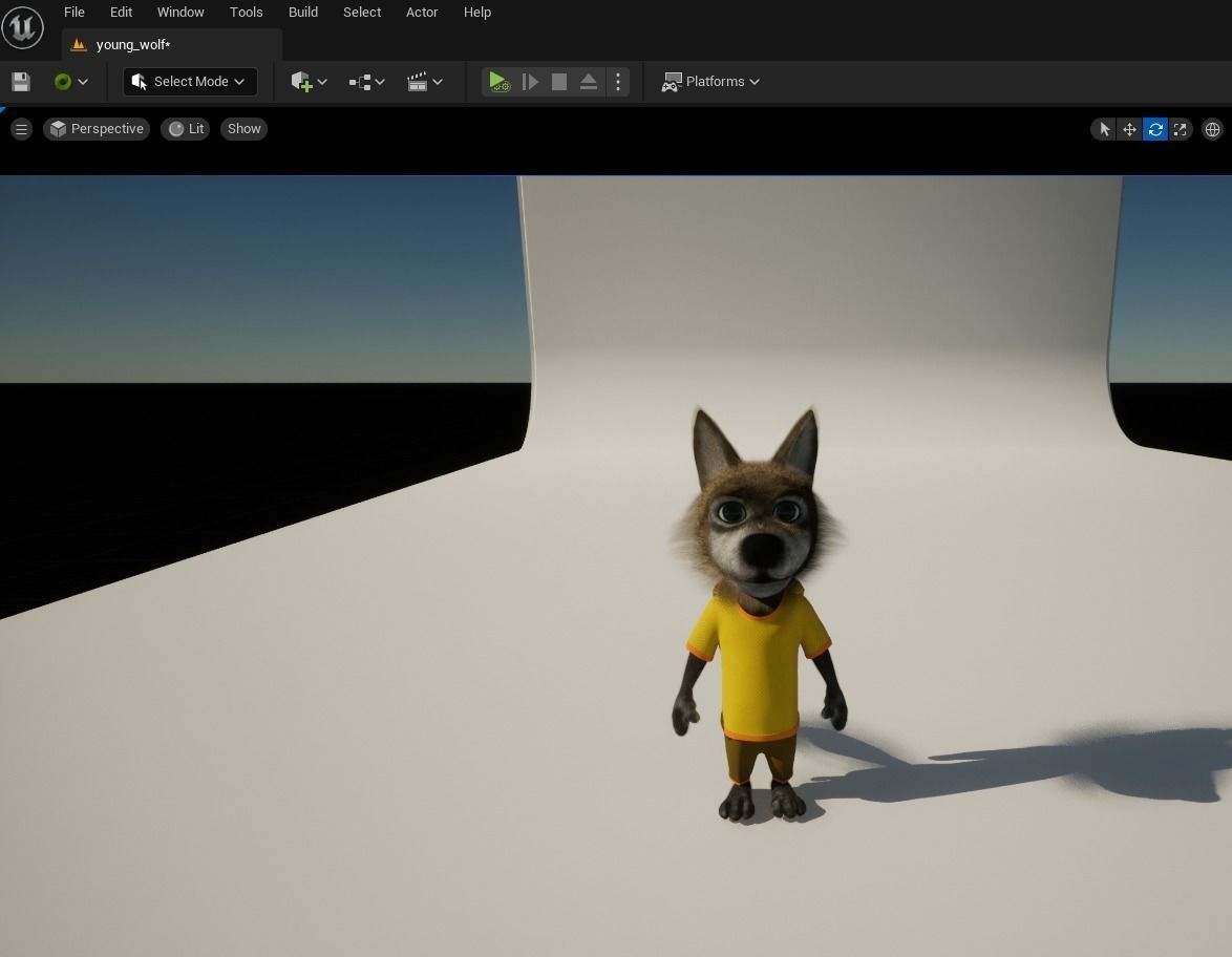 Cartoon Young Wolf Rigged 3D model_29