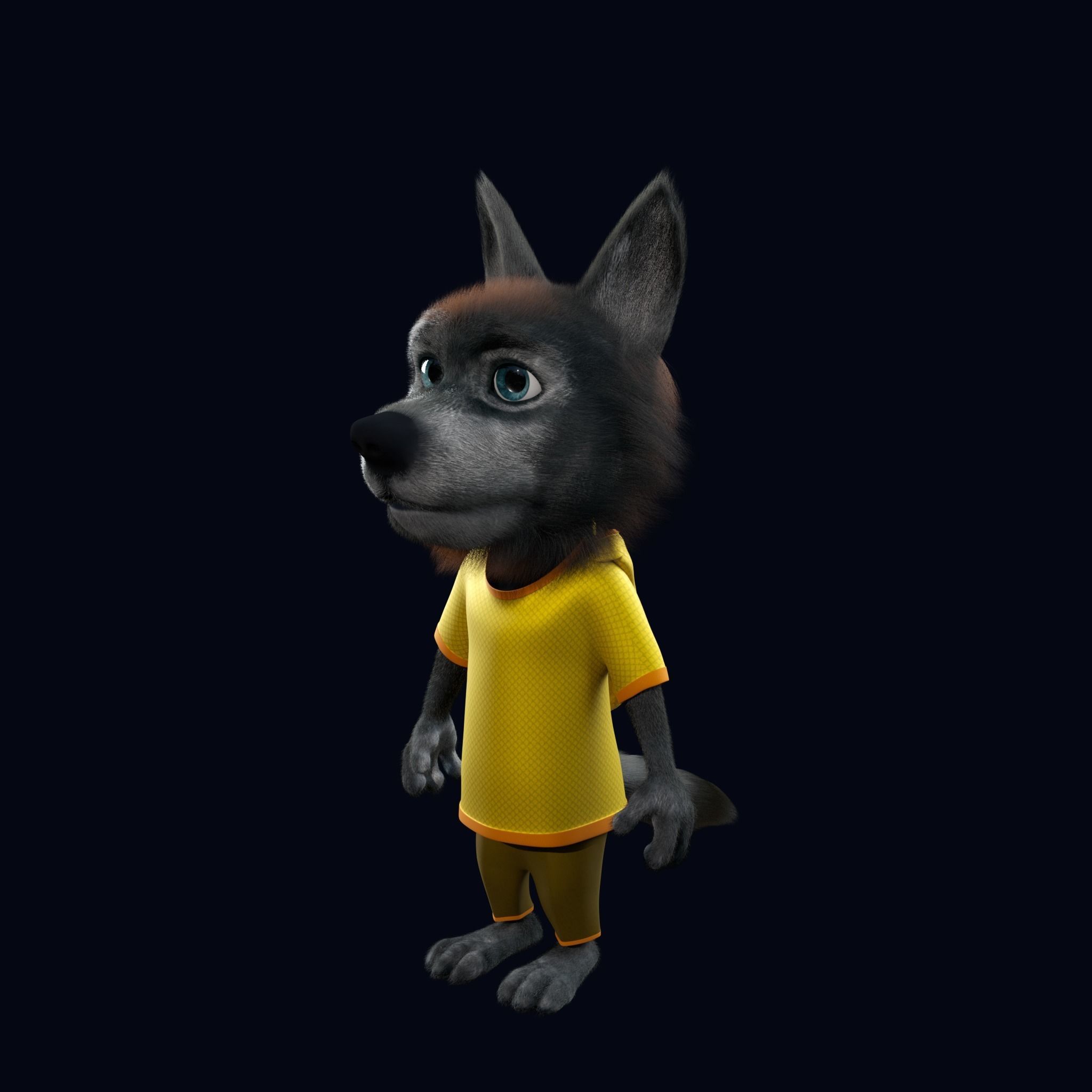 Cartoon Young Wolf Rigged 3D model_12