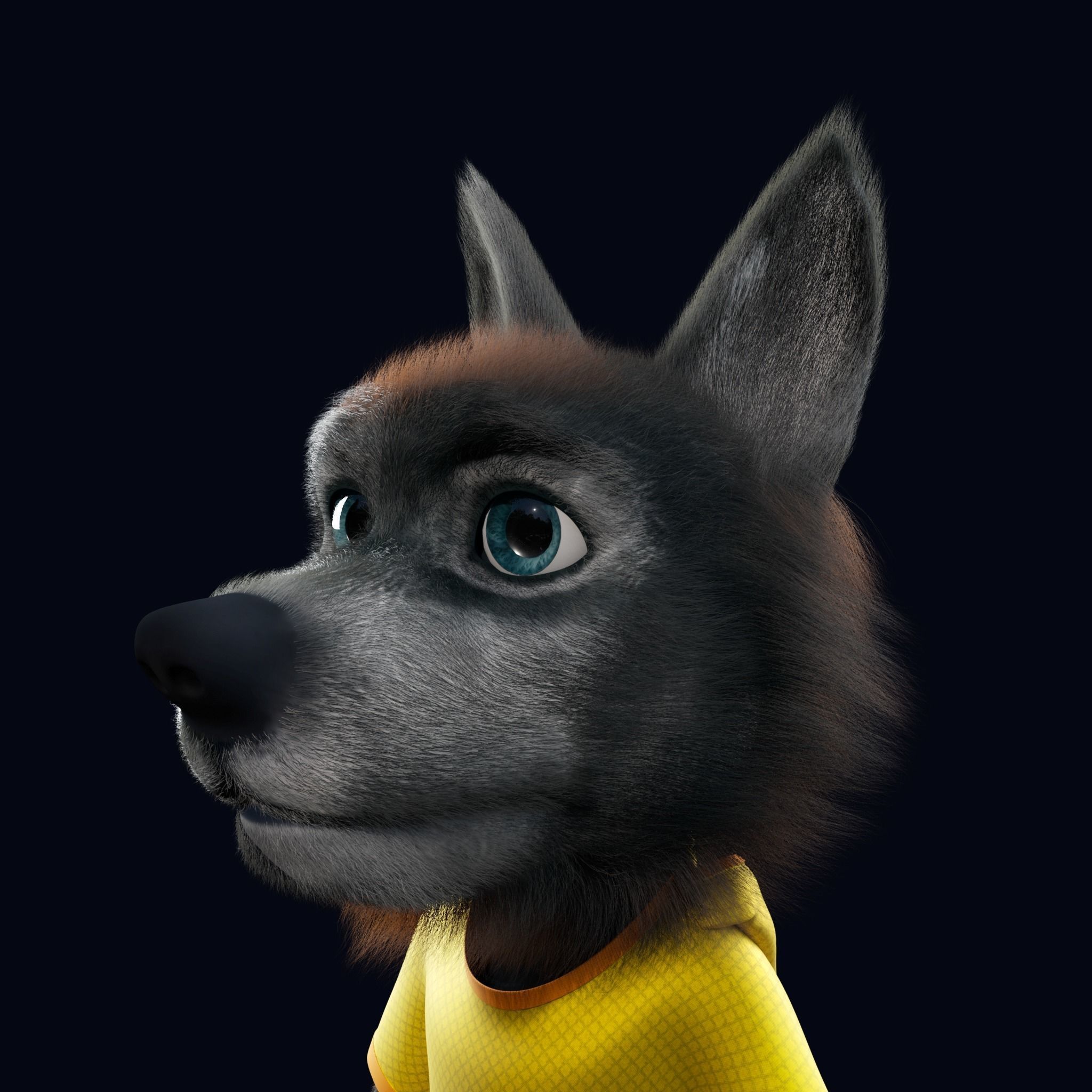 Cartoon Young Wolf Rigged 3D model_20