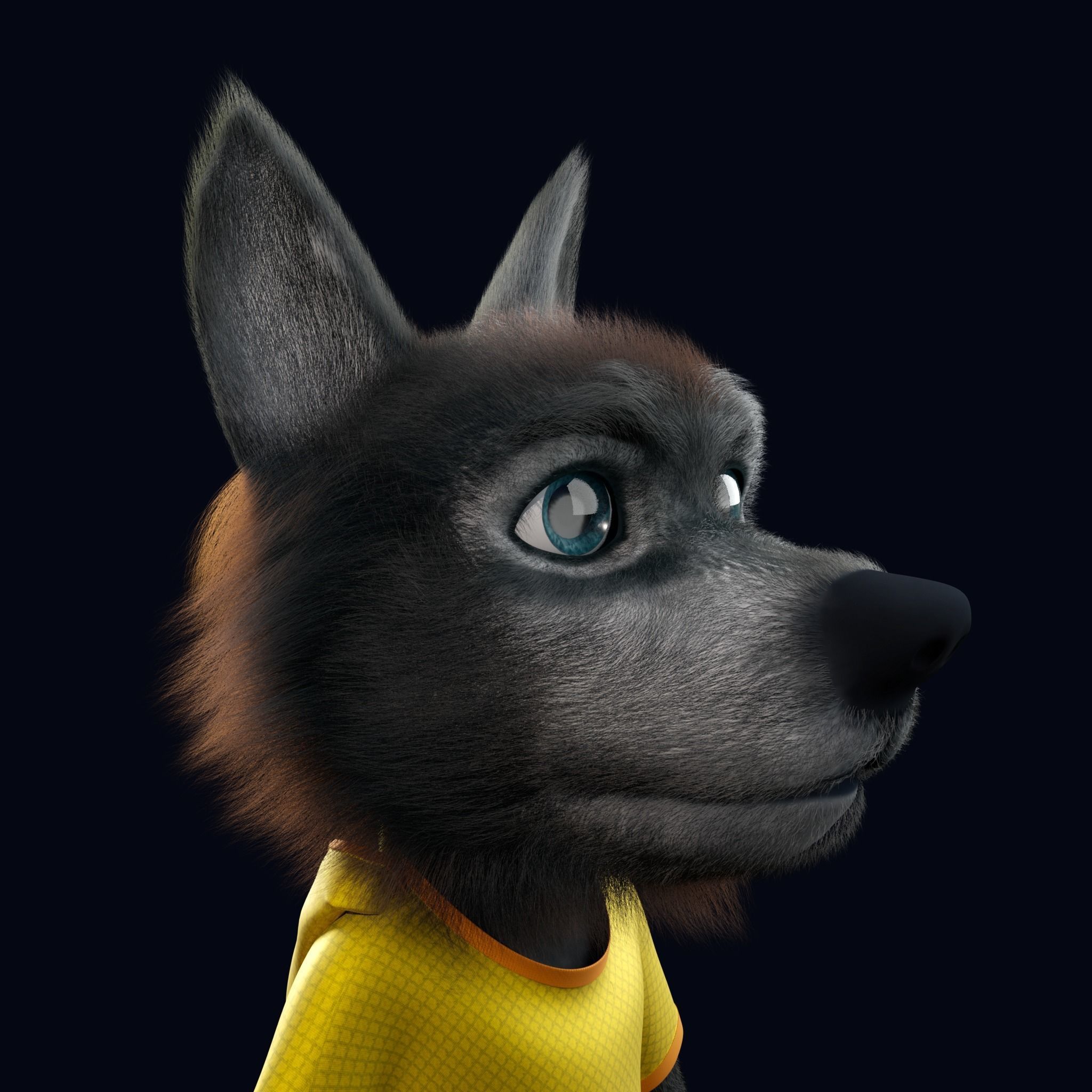 Cartoon Young Wolf Rigged 3D model_14