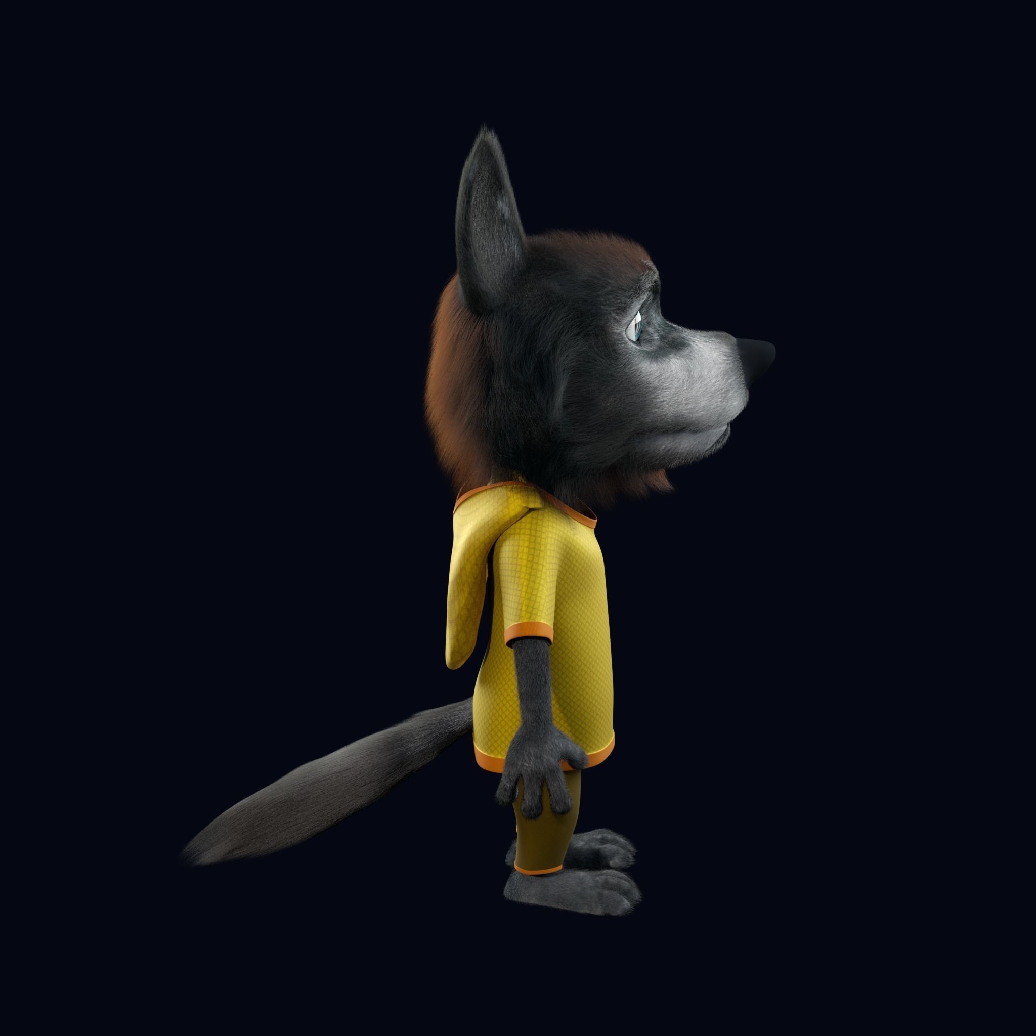 Cartoon Young Wolf Rigged 3D model_8