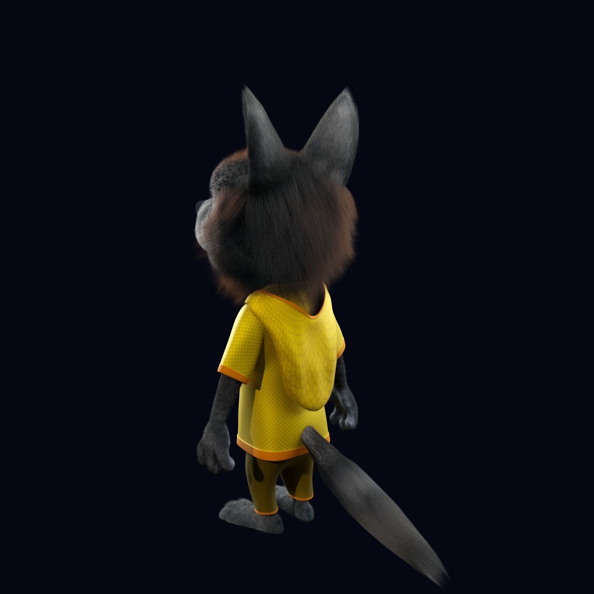 Cartoon Young Wolf Rigged 3D model_11